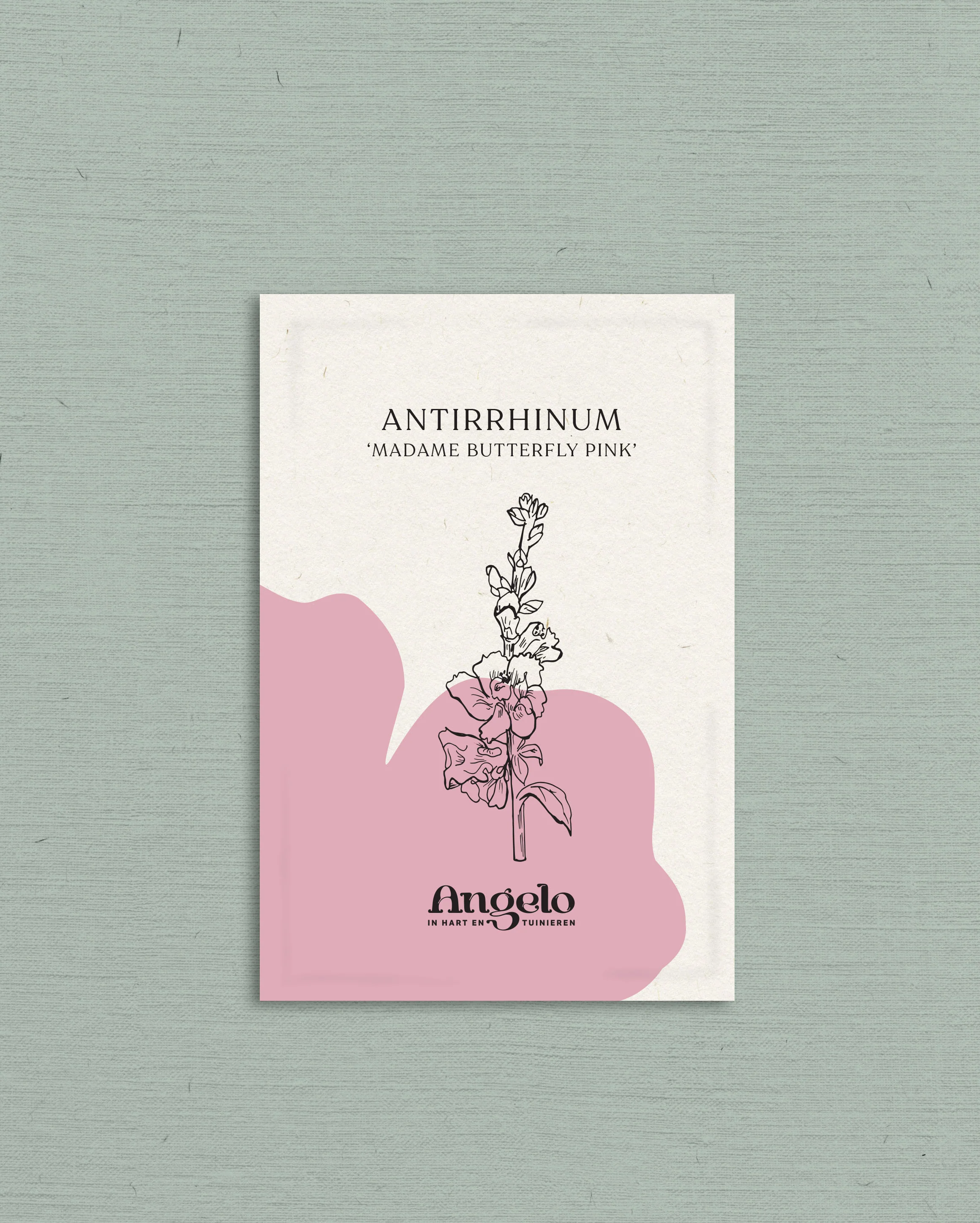 Miniatuur 2