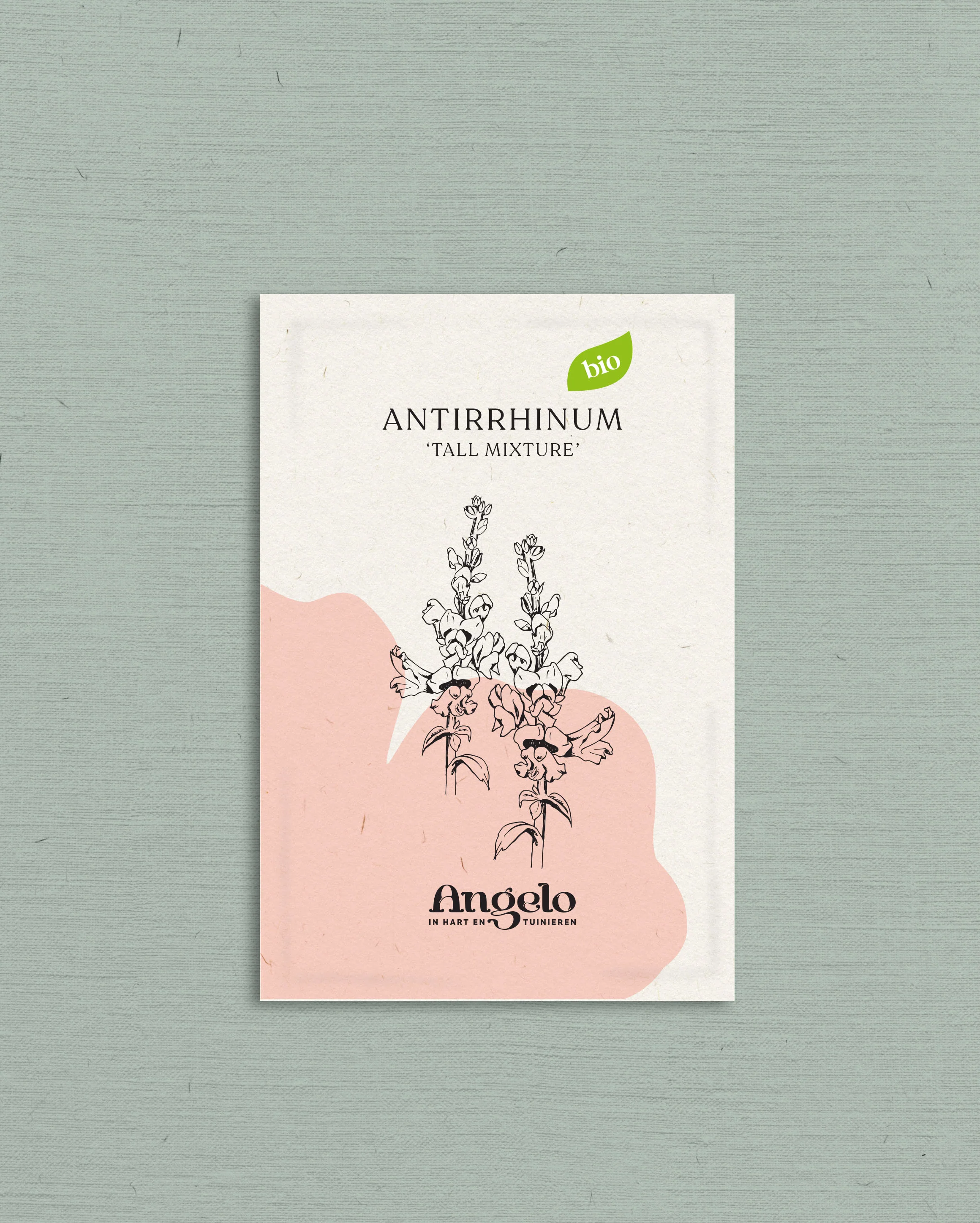 Antirrhinum majus 'Tall Mixture' - Image 2