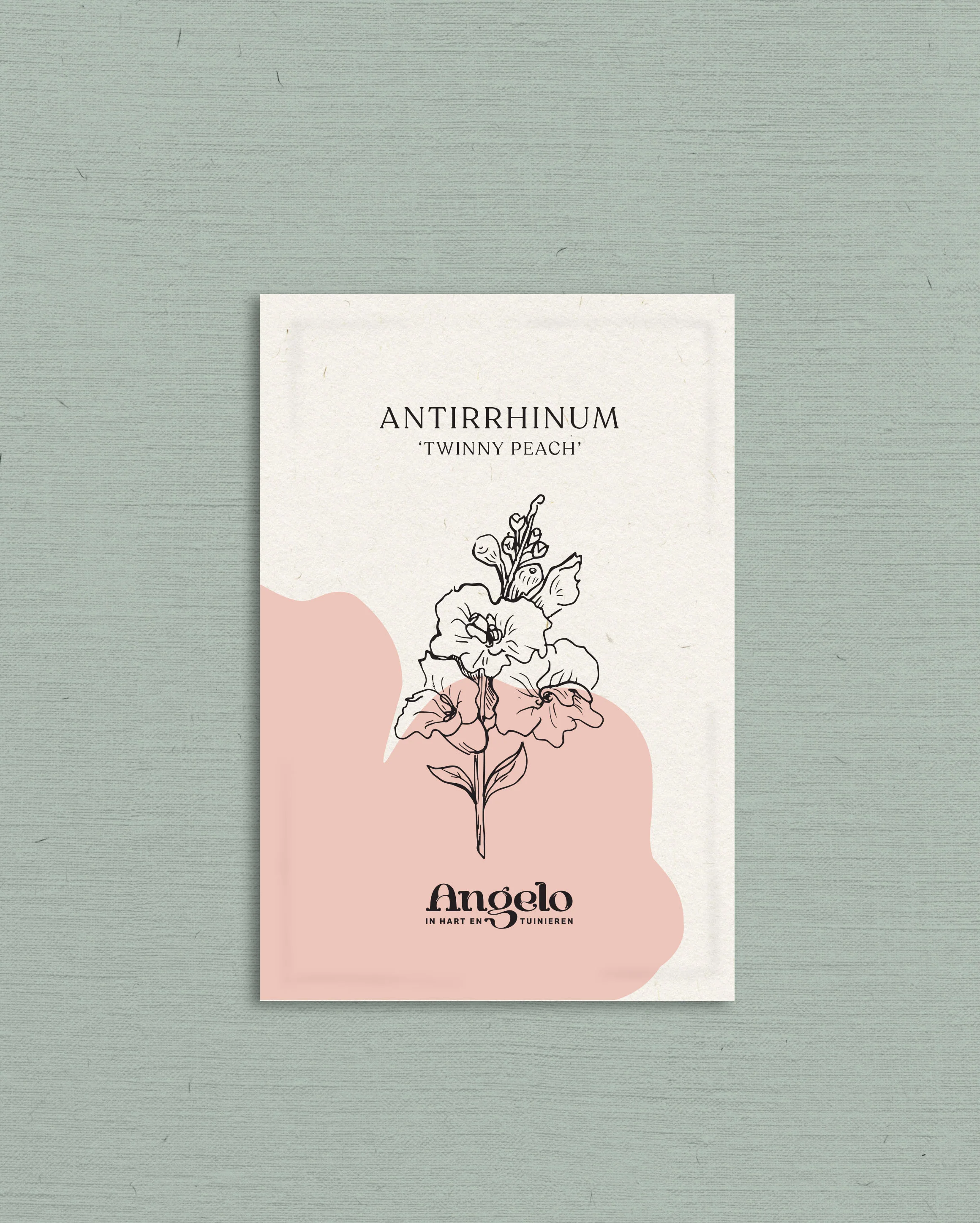 Antirrhinum majus 'Twinny Peach' - Image 2