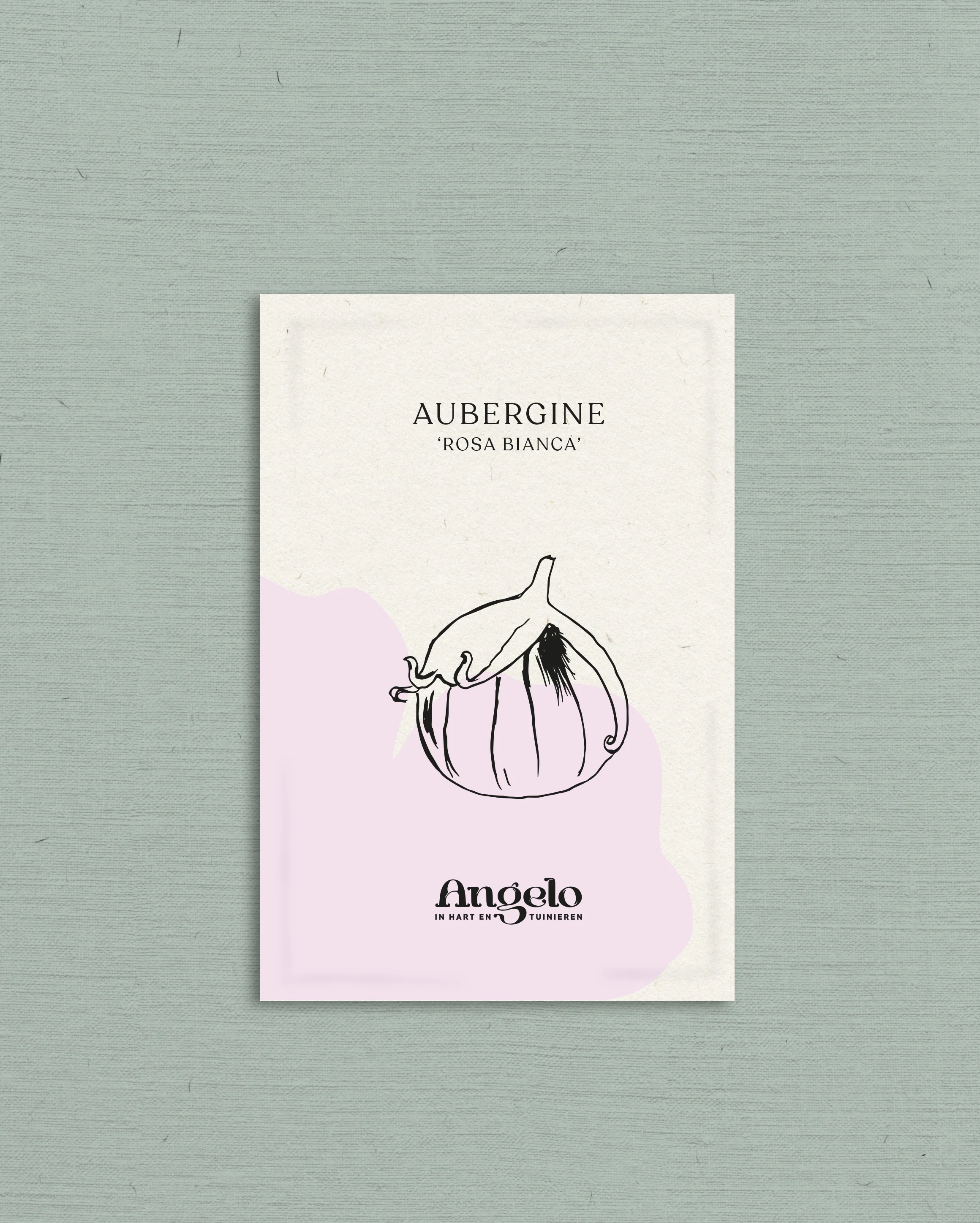 Aubergine 'Rosa Bianca' - Image 2