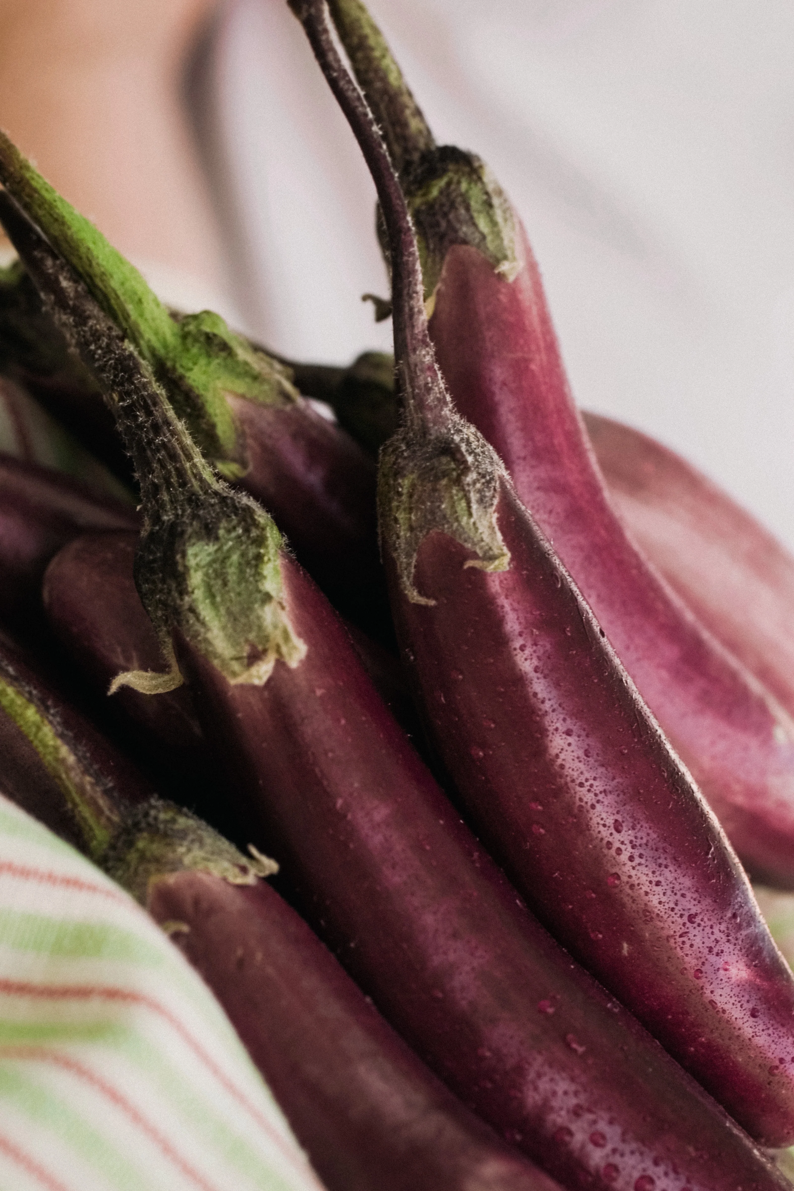 Aubergine 'Slim Jim' - Image 3