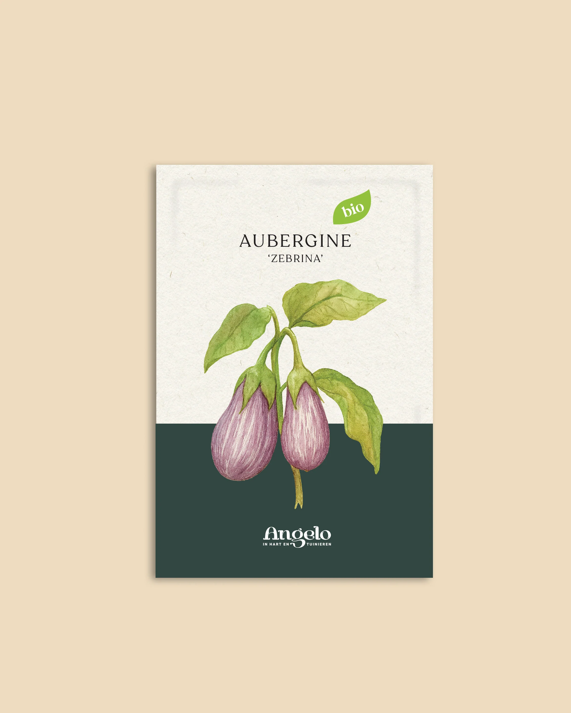 Aubergine 'Zébrina' - Image 2