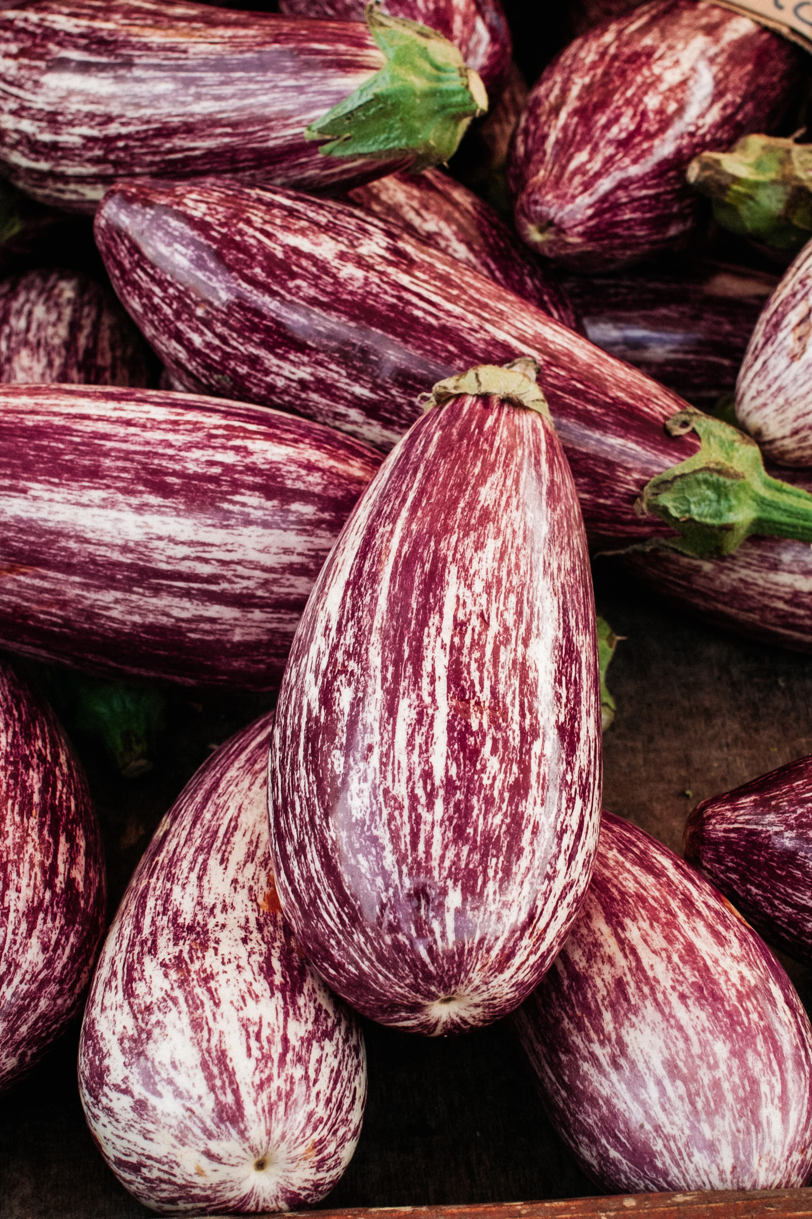 Aubergine 'Zébrina' - Image 3