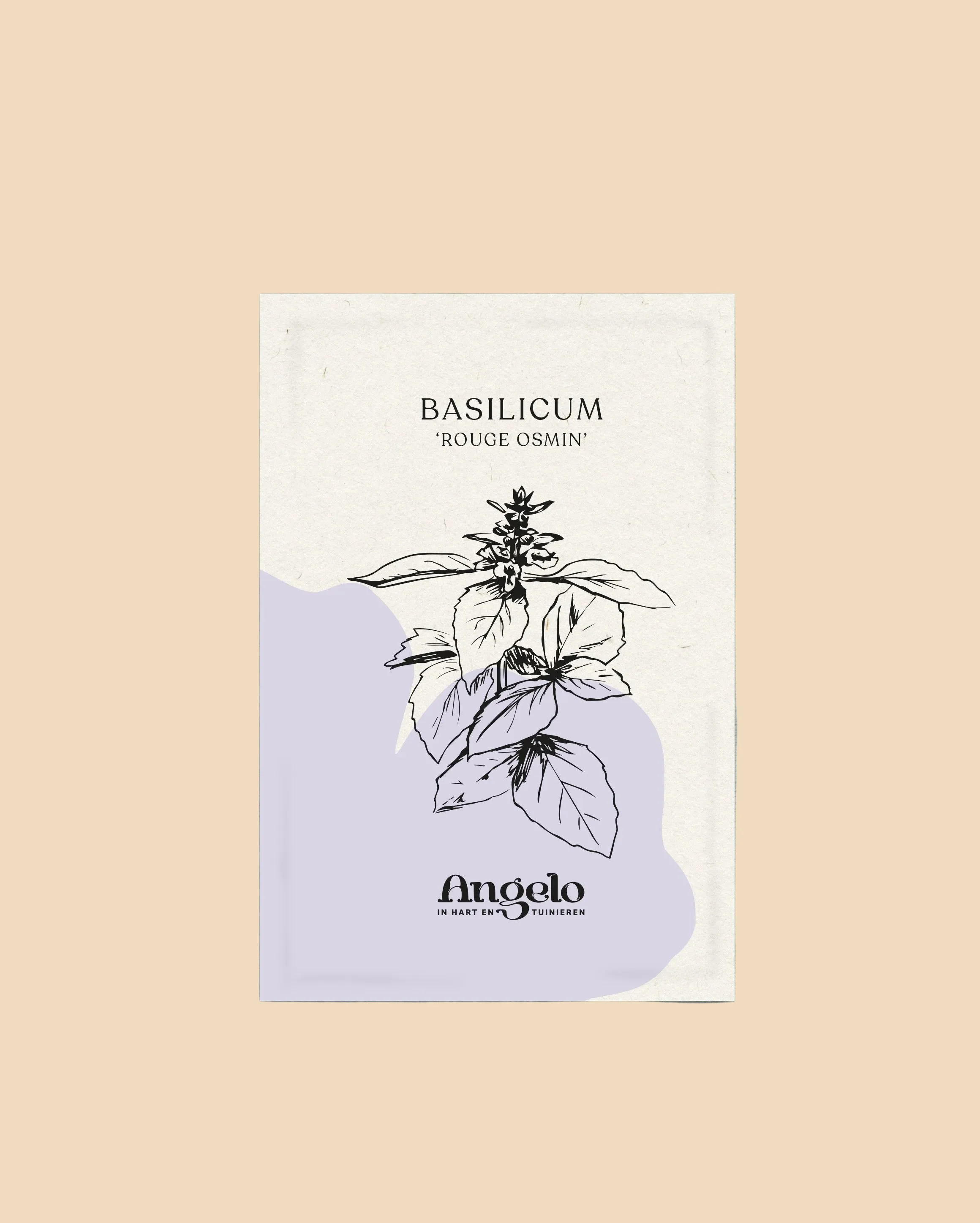 Basilicum 'Rouge Osmin' - Image 2