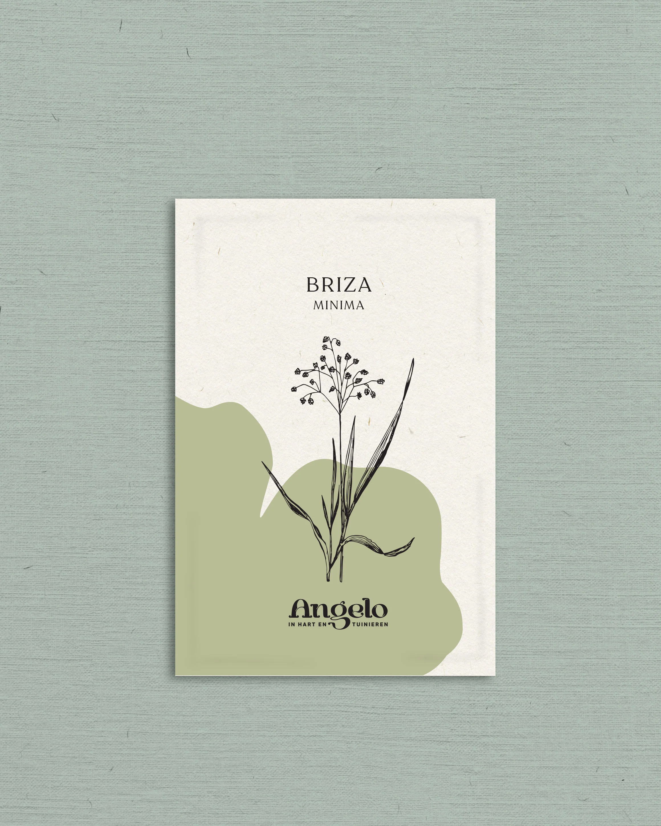 Briza minima - Image 2