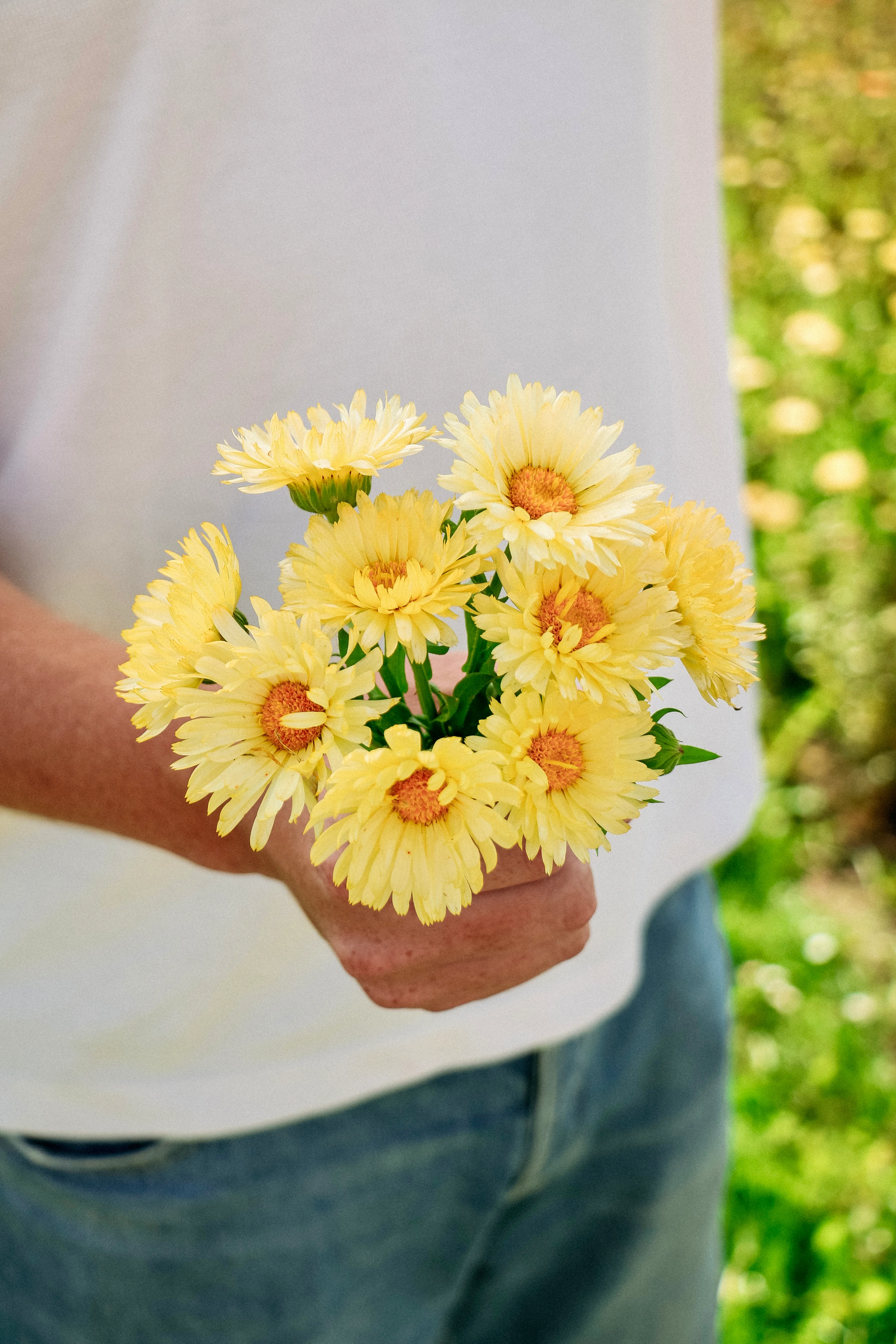 Miniatuur 1