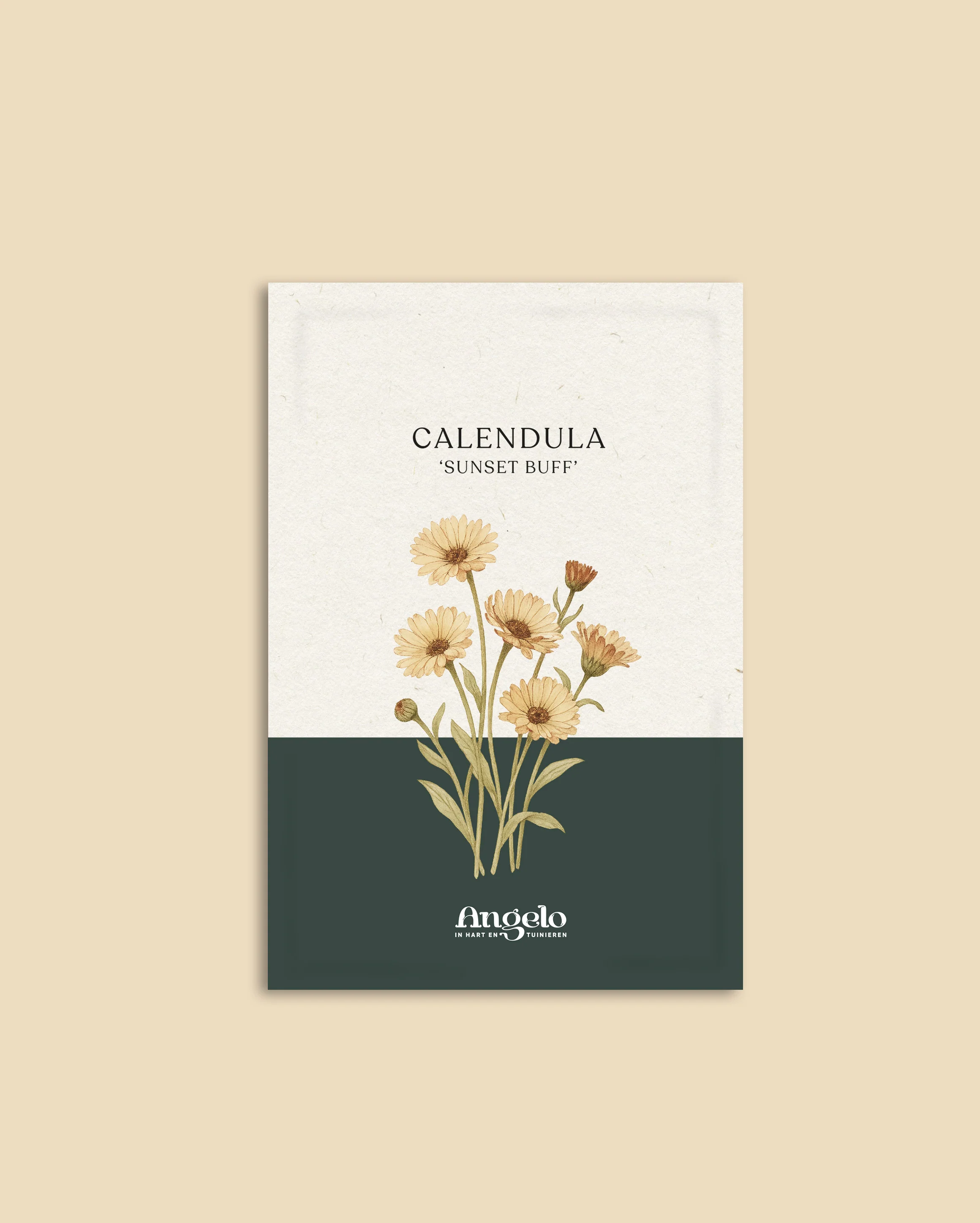 Calendula officinalis 'Sunset Buff' - Image 2