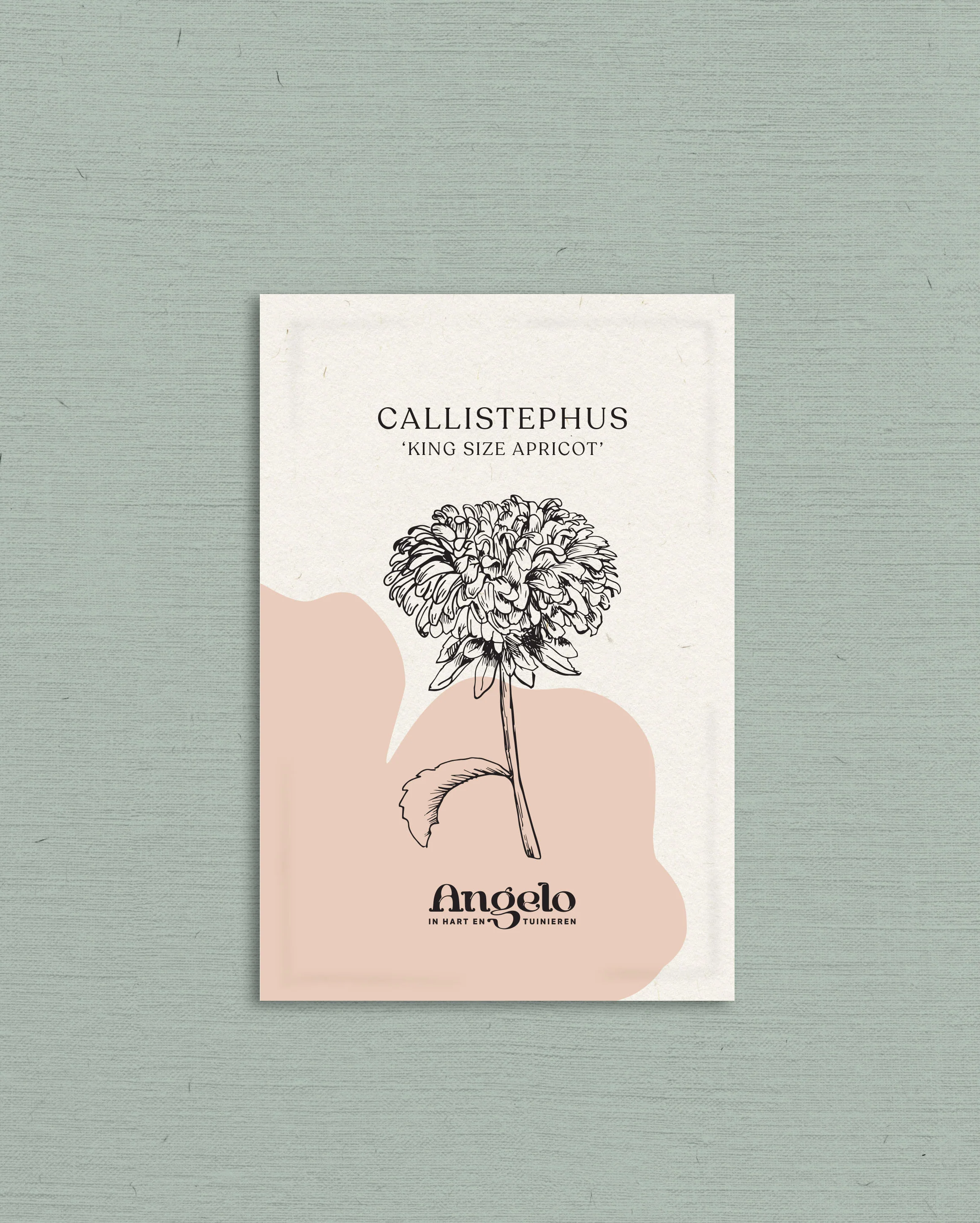 Miniatuur 2