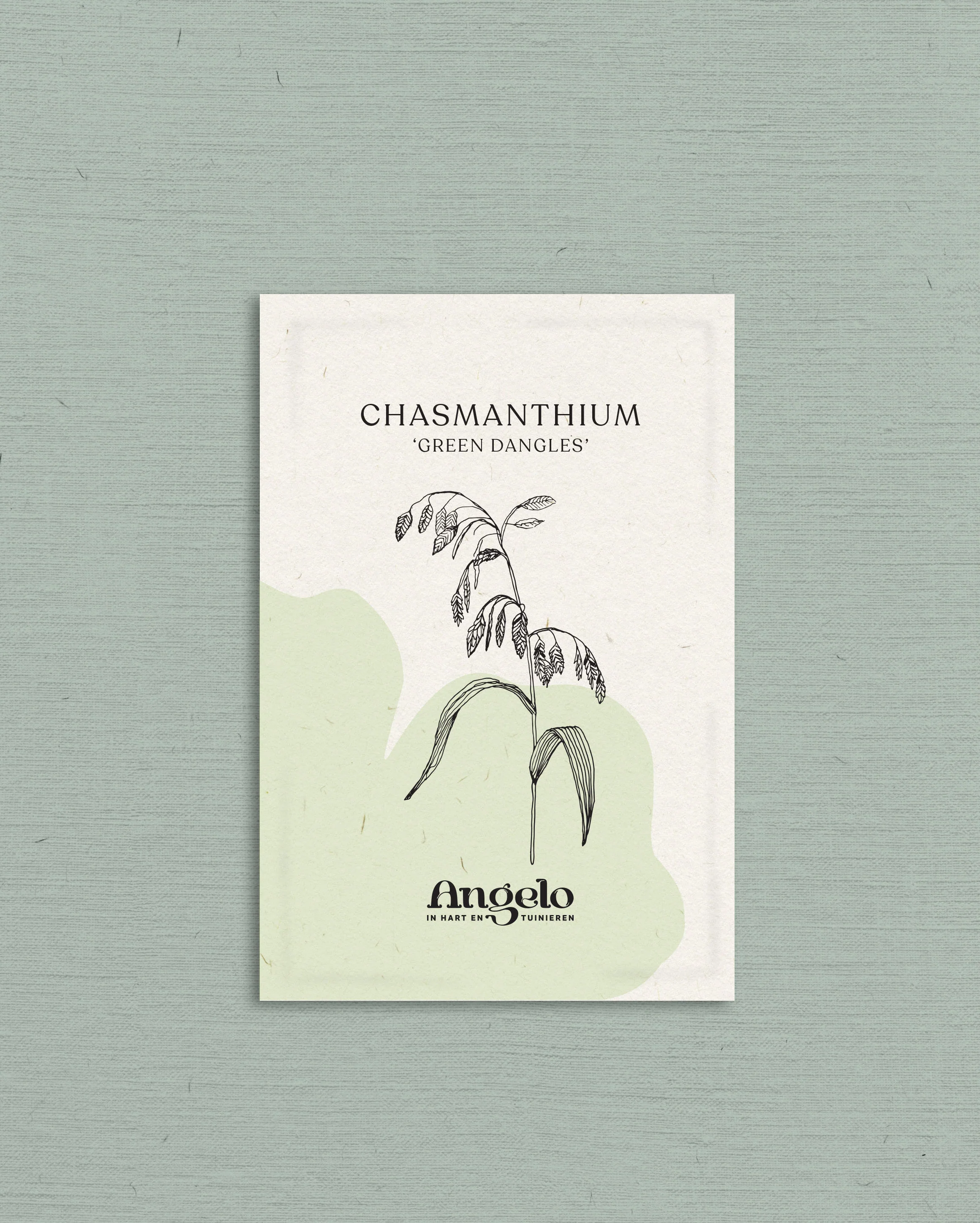 Miniatuur 2