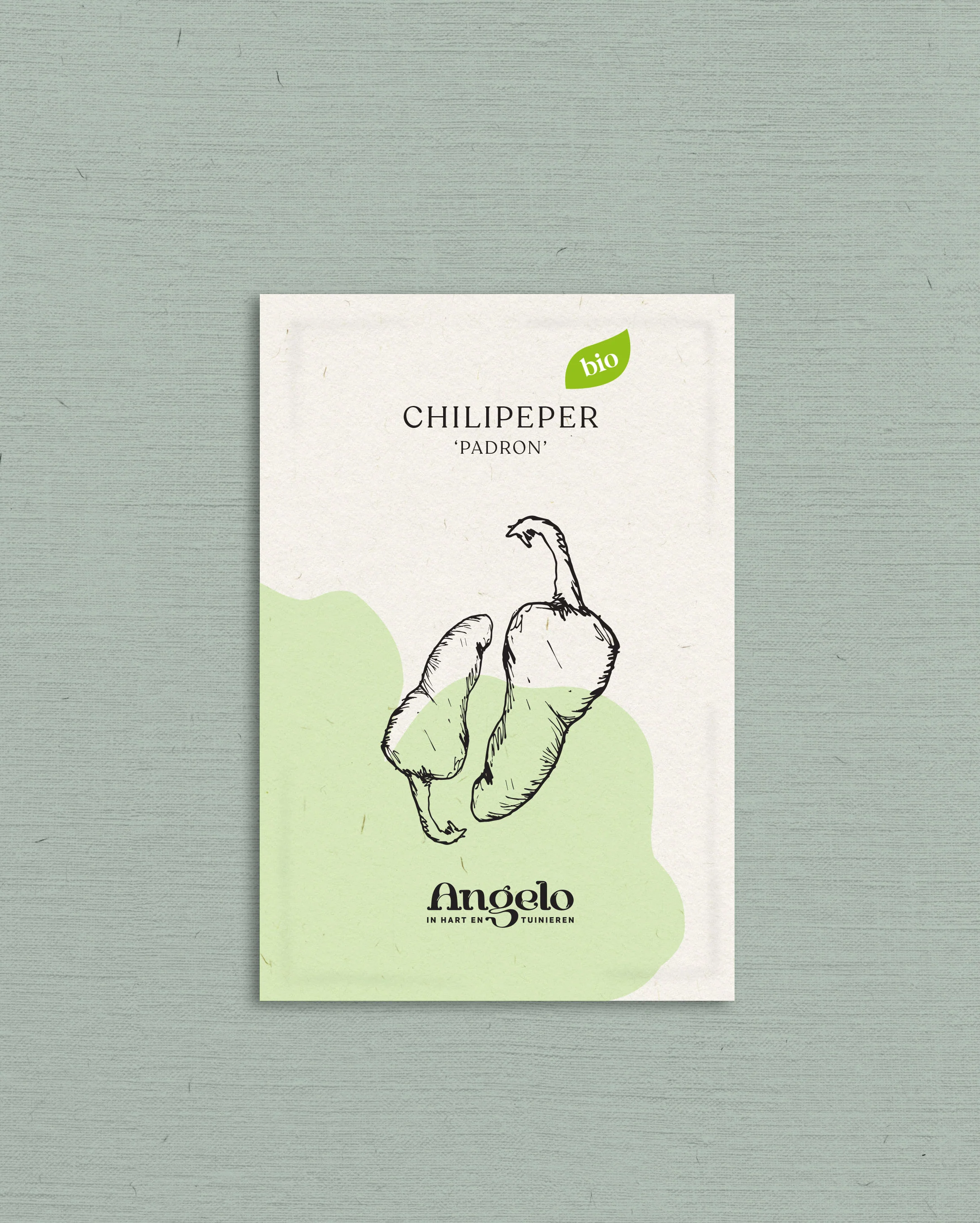 Chilipeper 'Padron' - Image 2