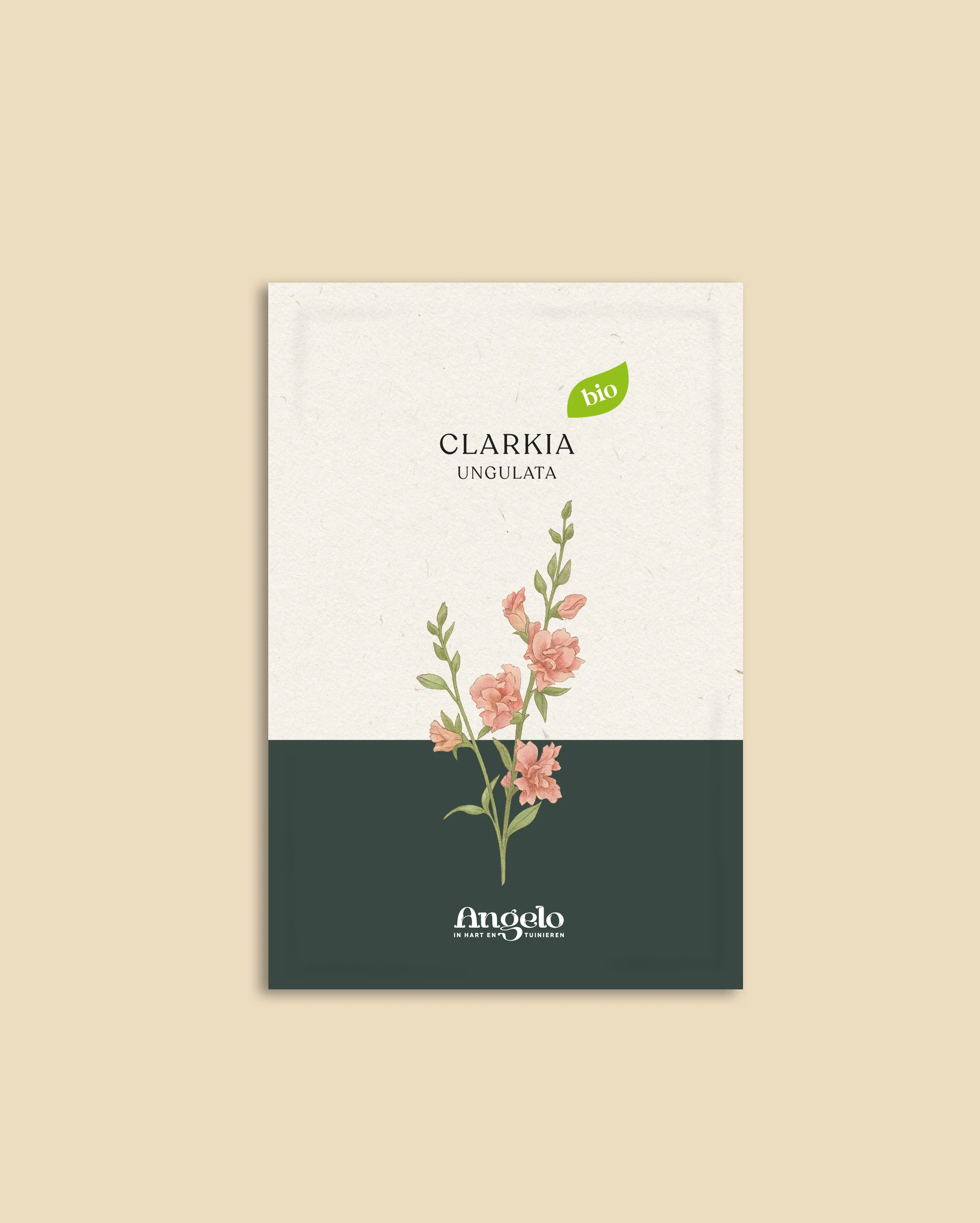 Clarkia ungulata - Image 2