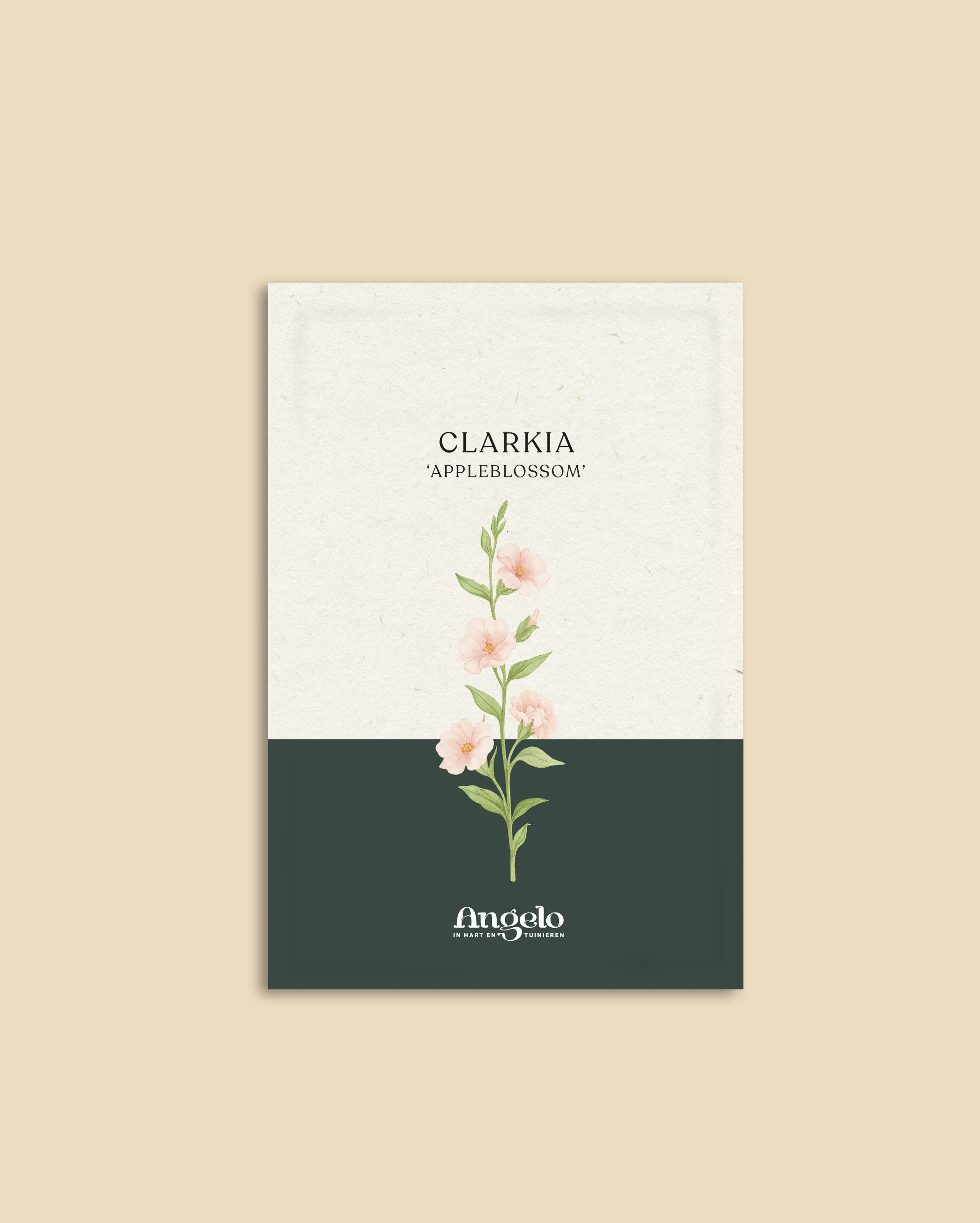 Clarkia ungulata 'Appleblossom' - Image 2