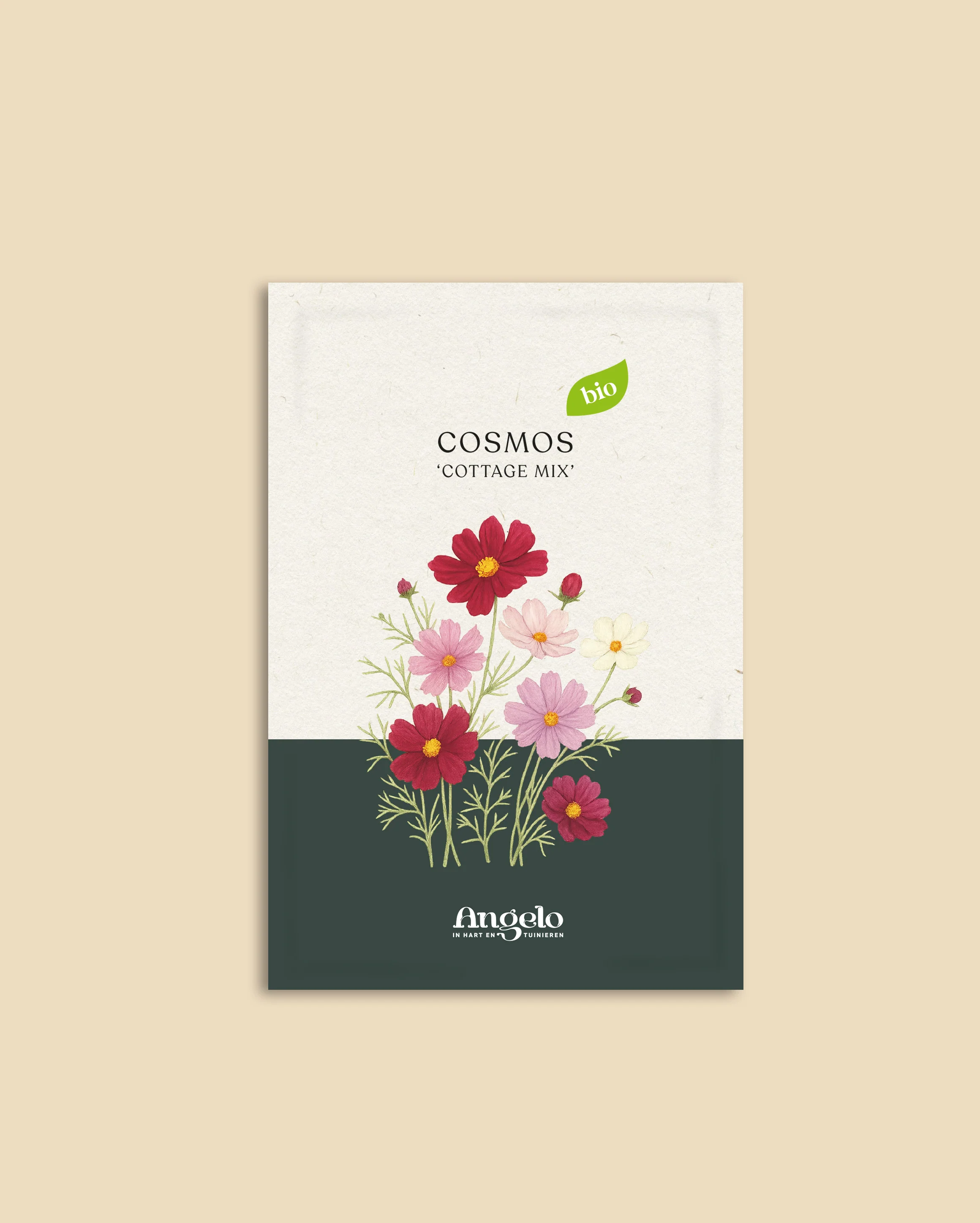 Cosmos bipinnatus 'Cottage Mix' - Image 2