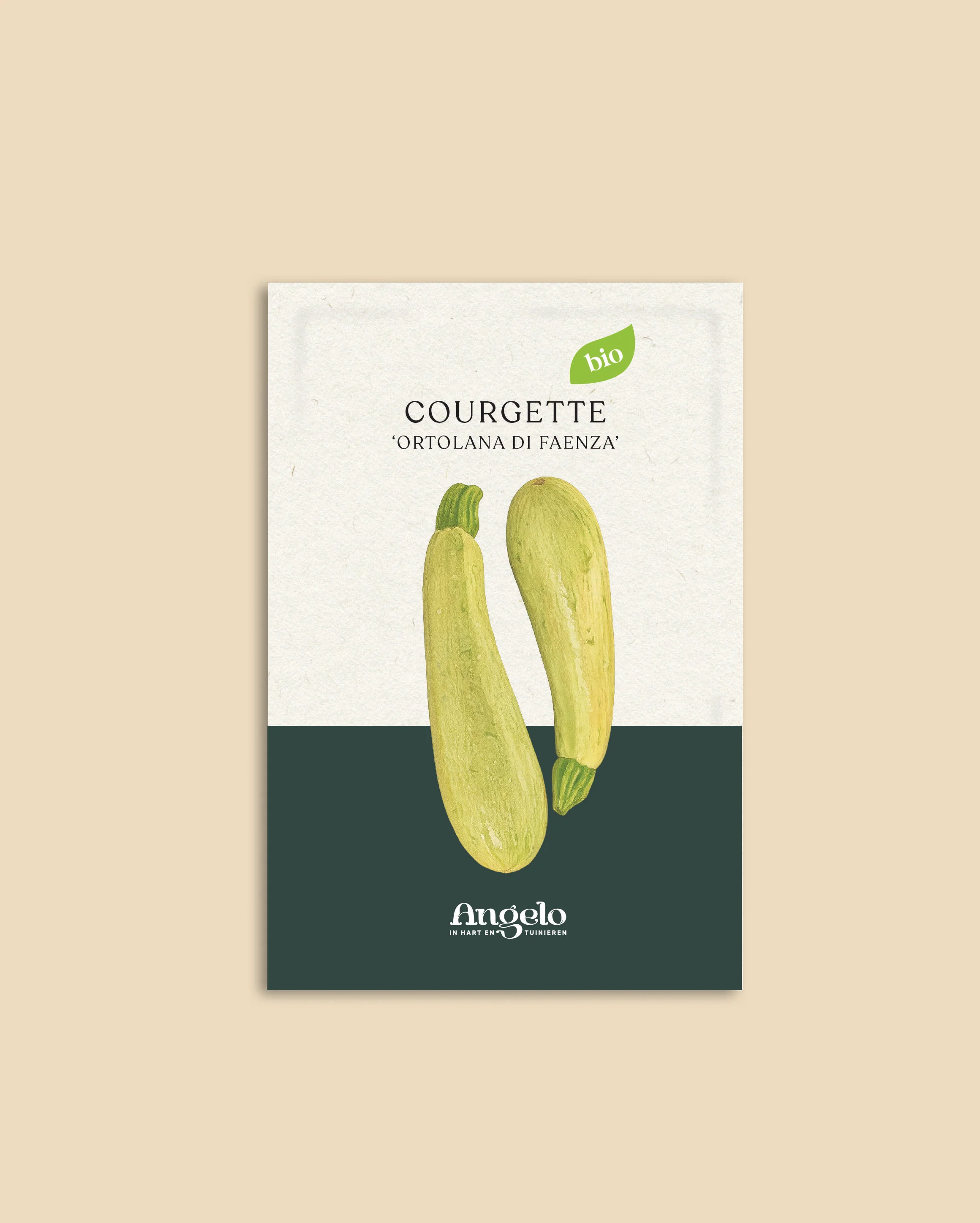 Courgette 'Ortolana Di Faenza' - Image 2