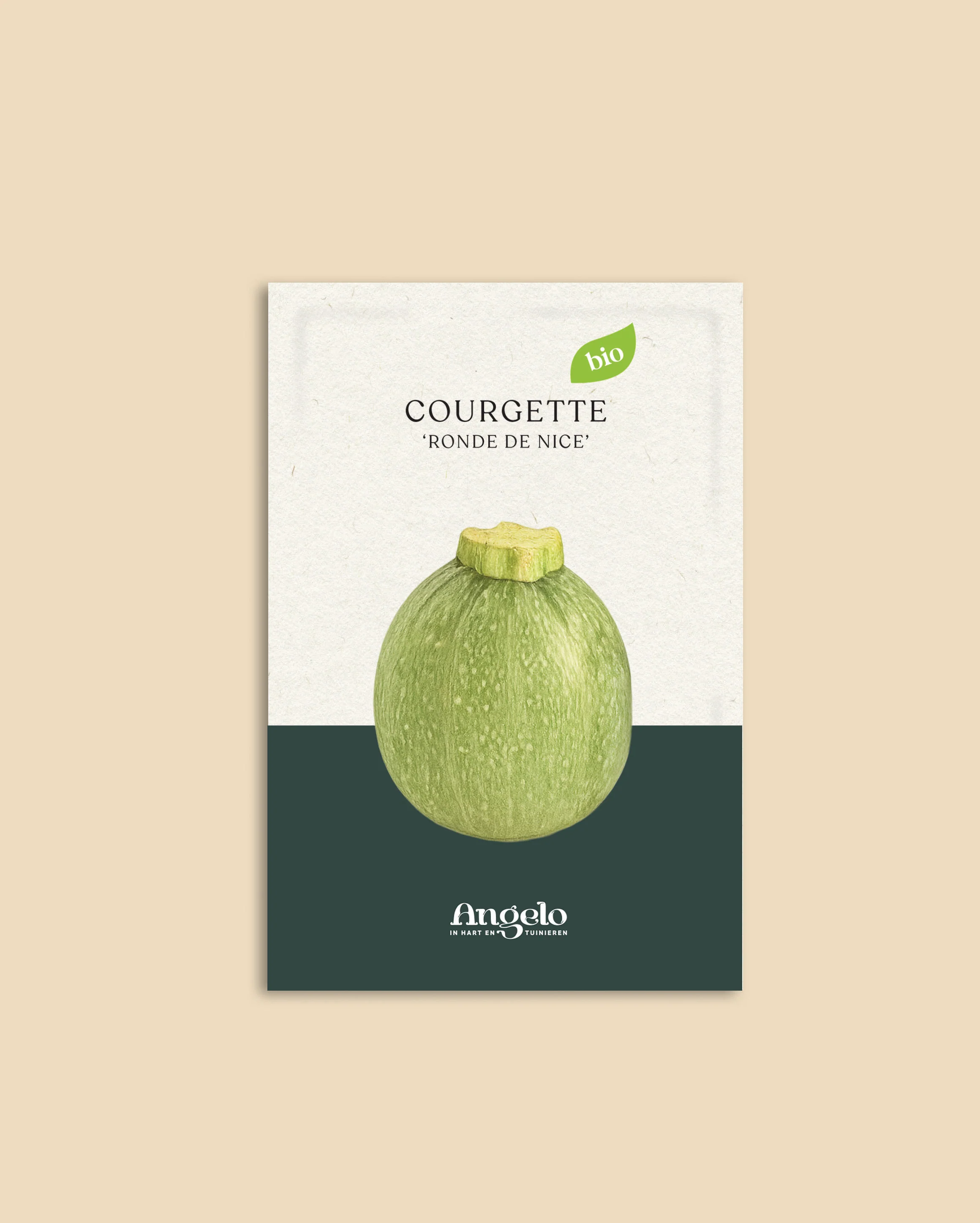 Courgette 'Ronde de Nice' - Image 2
