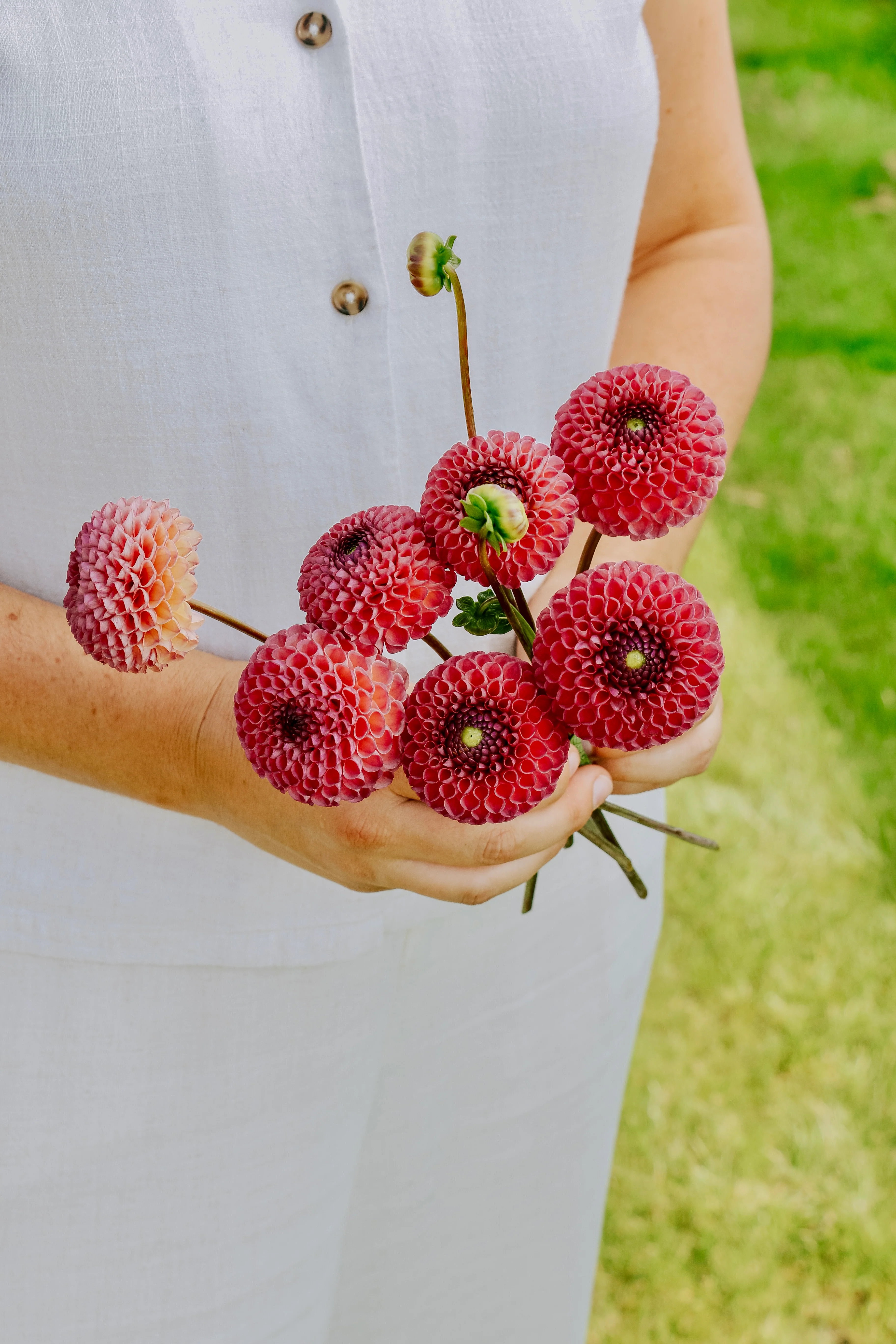 Miniatuur 1