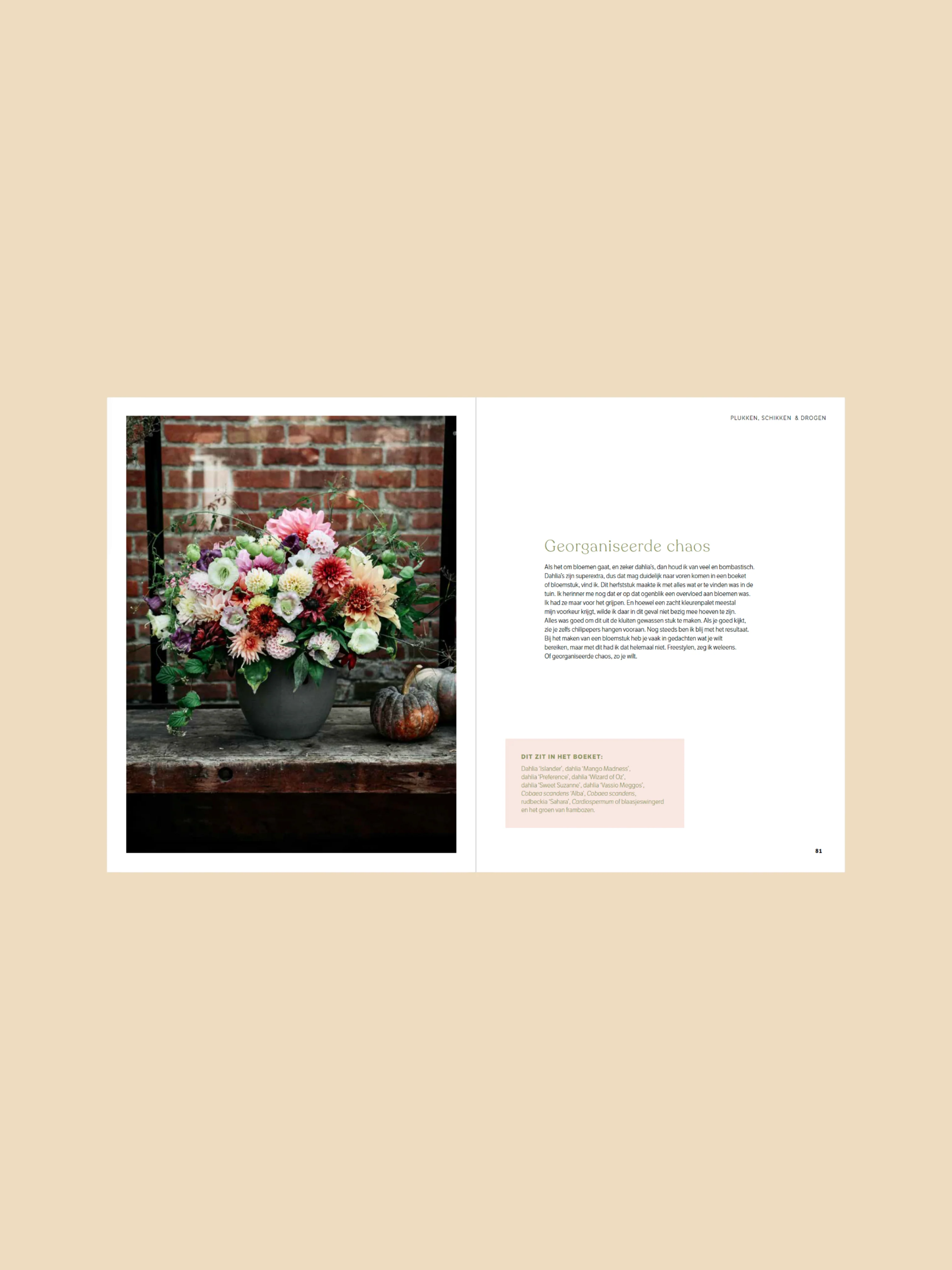 Dahlia - ode aan de koningin van de pluktuin - Image 6