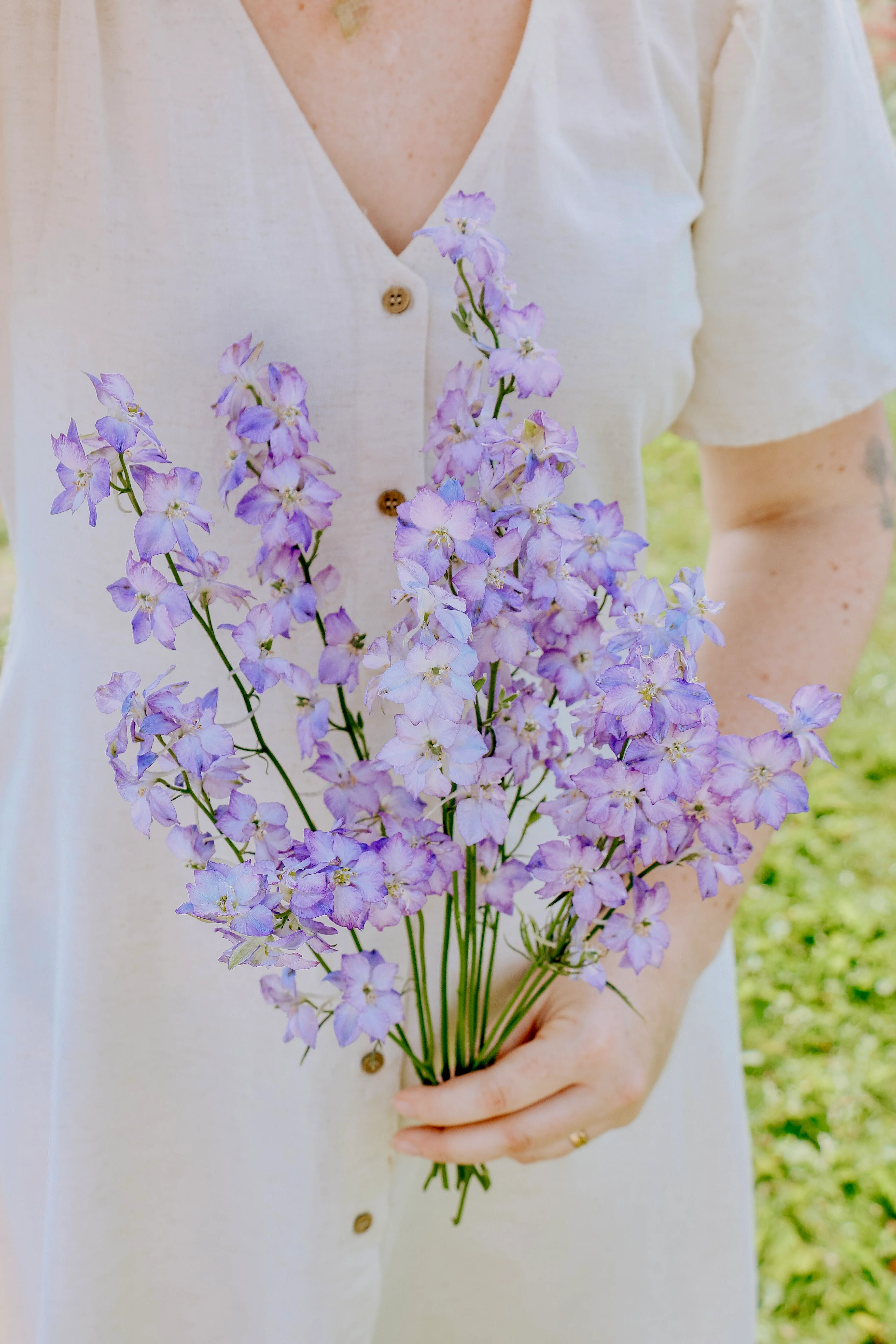 Delphinium consolida 'Fancy Purple Picotee'