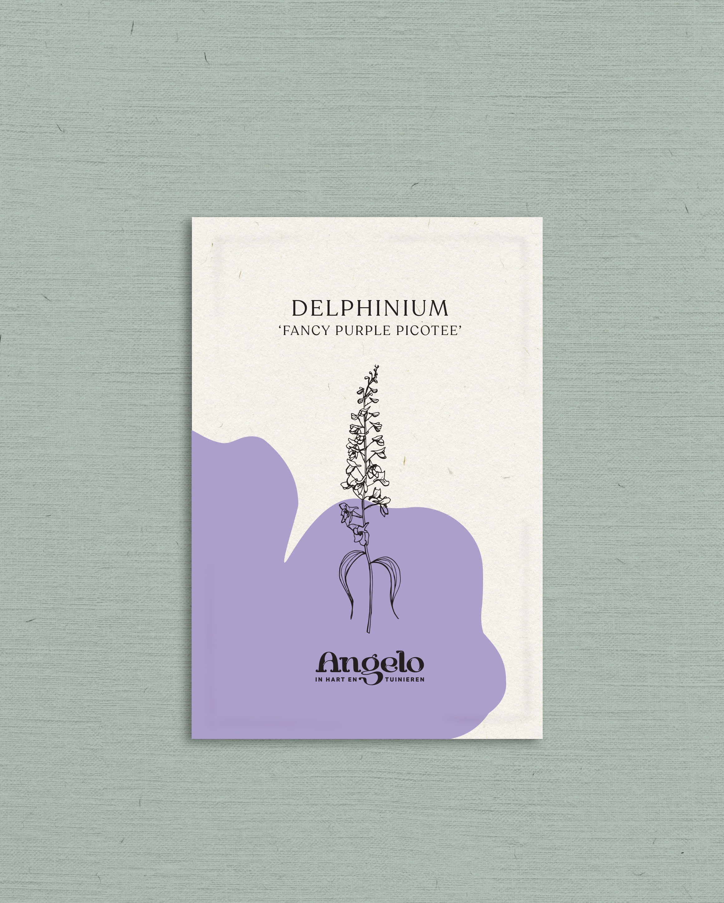 Delphinium consolida 'Fancy Purple Picotee' - Image 2