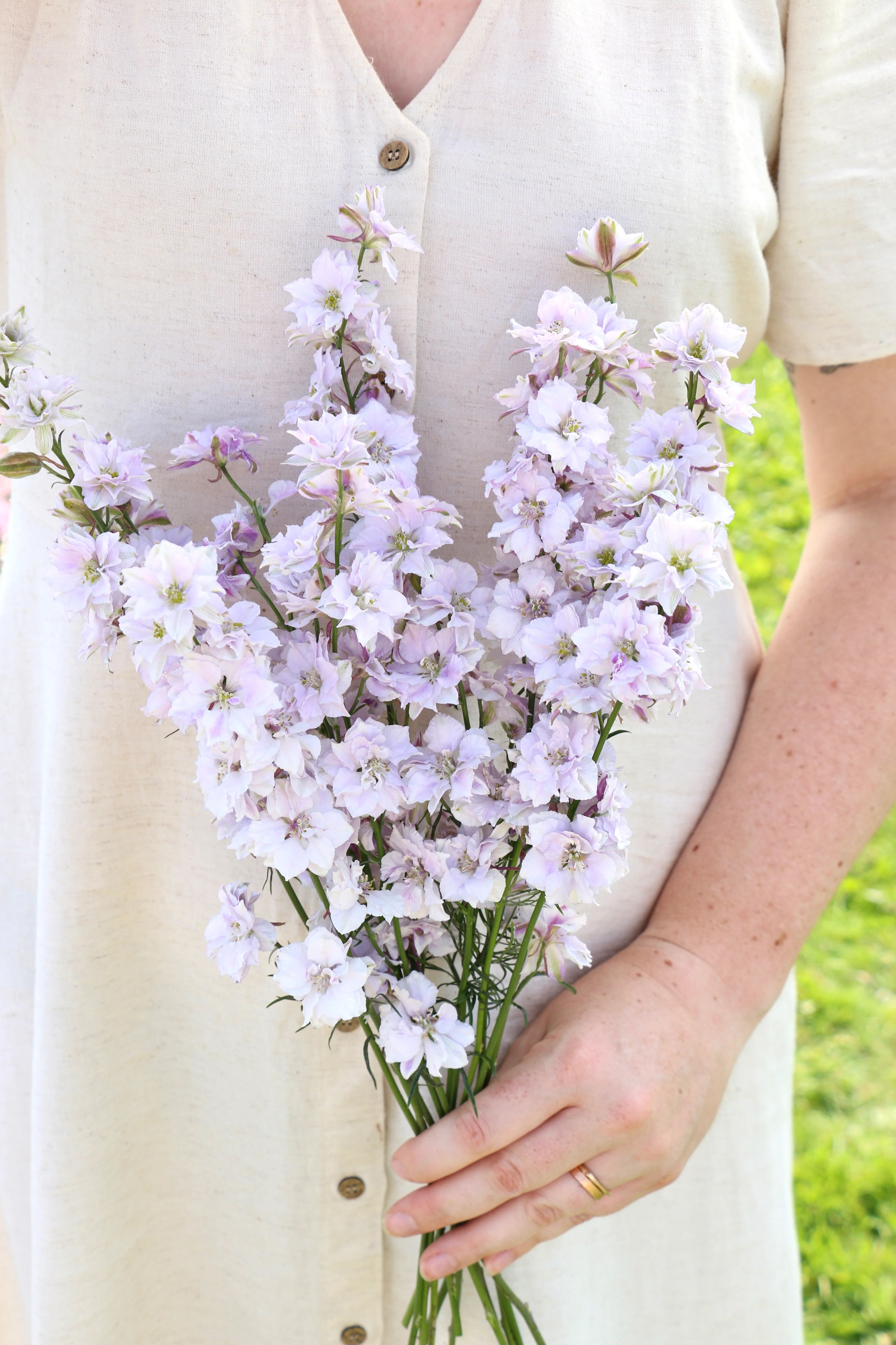 Delphinium consolida 'Fancy Smokey Eyes'