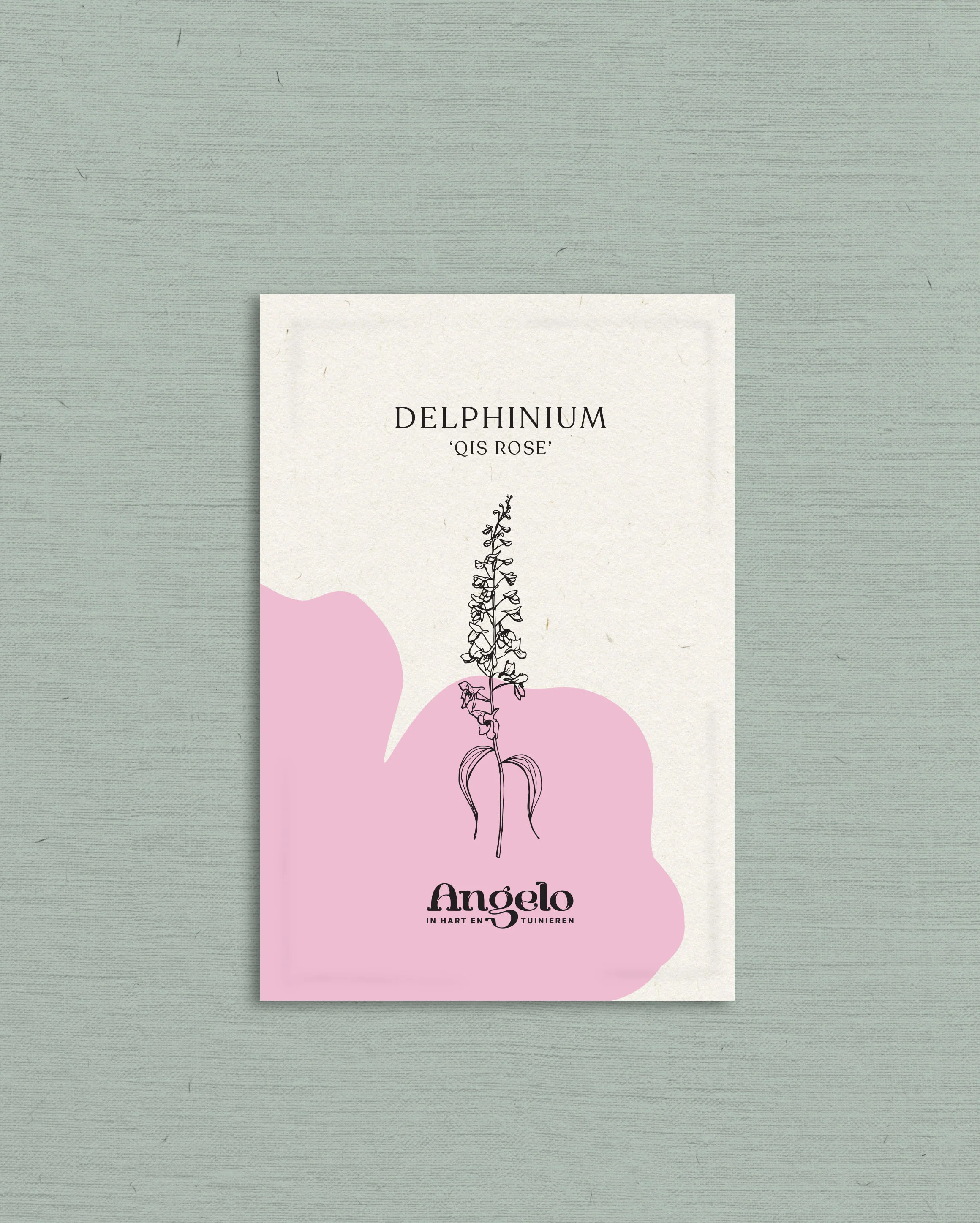 Delphinium consolida 'Qis Rose' - Image 2