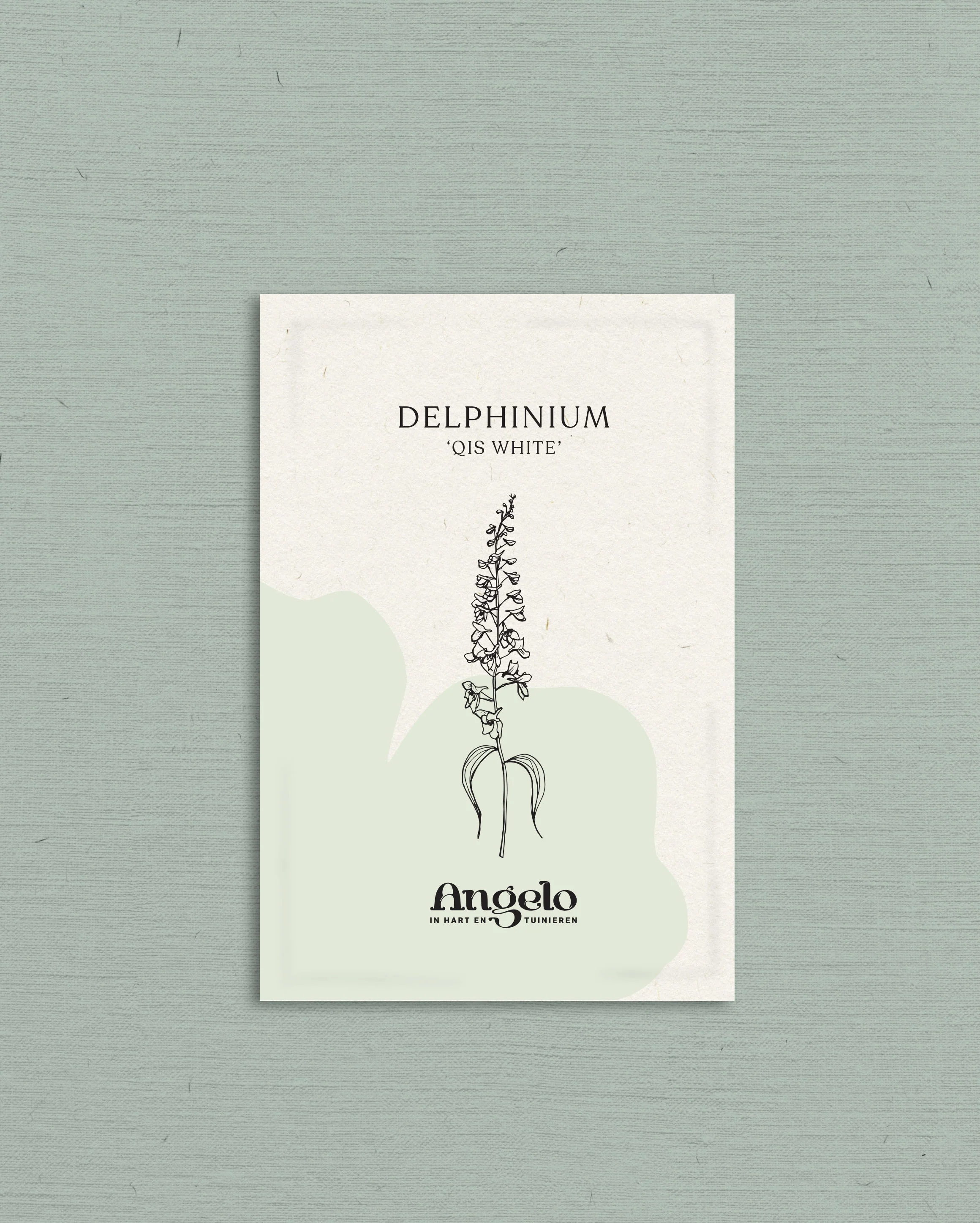 Delphinium consolida 'Qis White' - Image 2