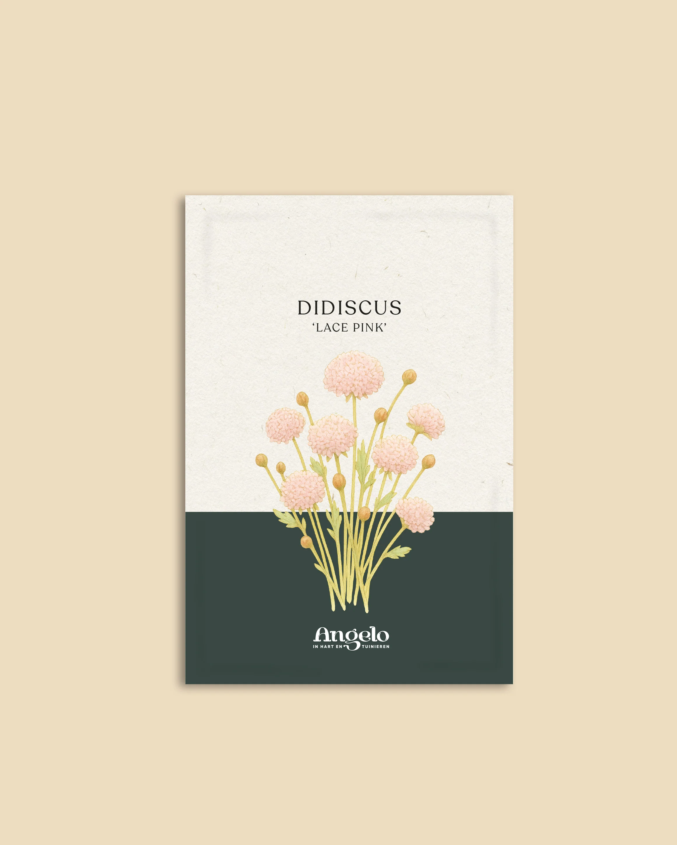 Miniatuur 2