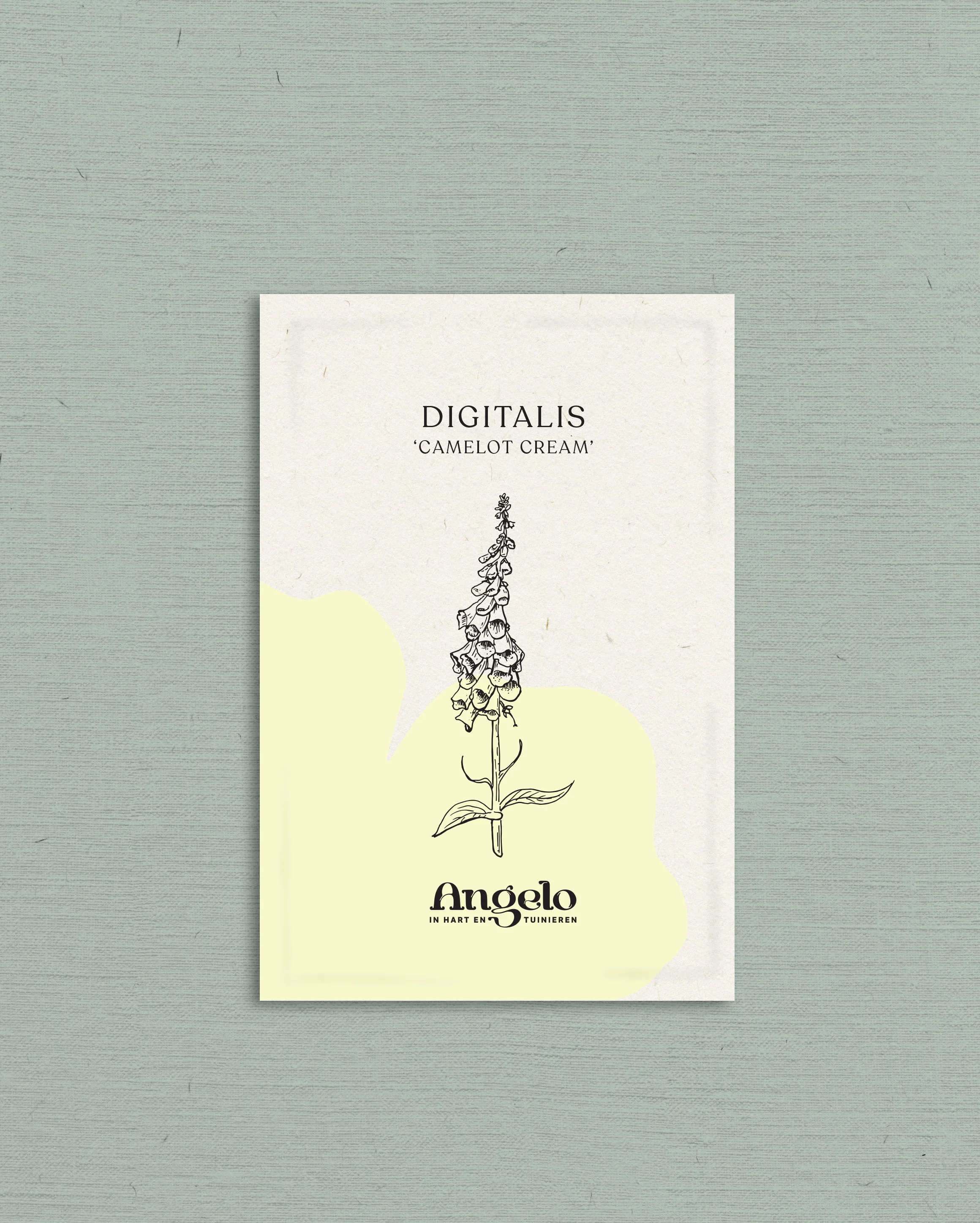 Miniatuur 2