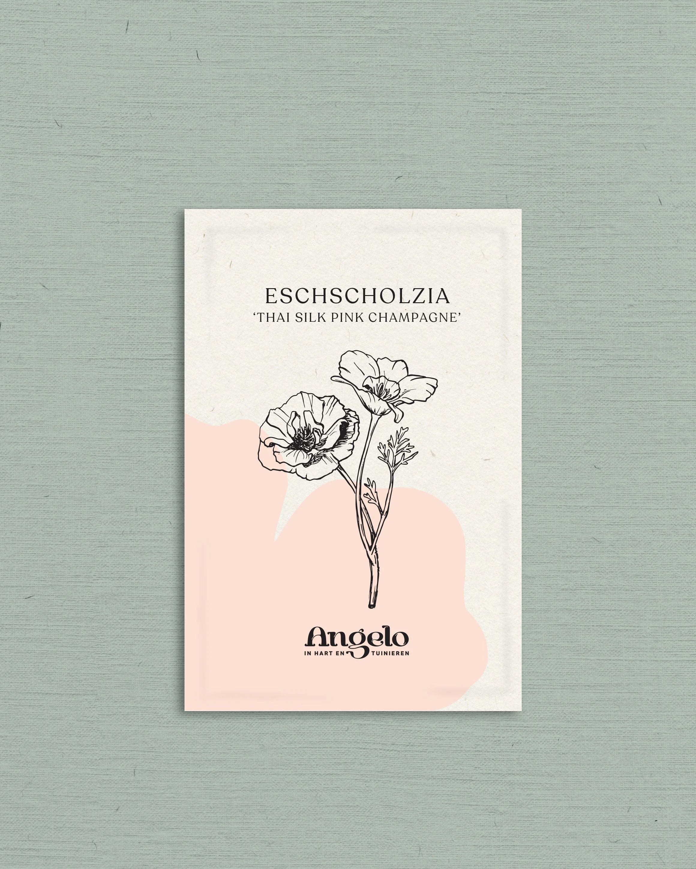 Eschscholzia californica 'thai silk pink champagne' - Image 2