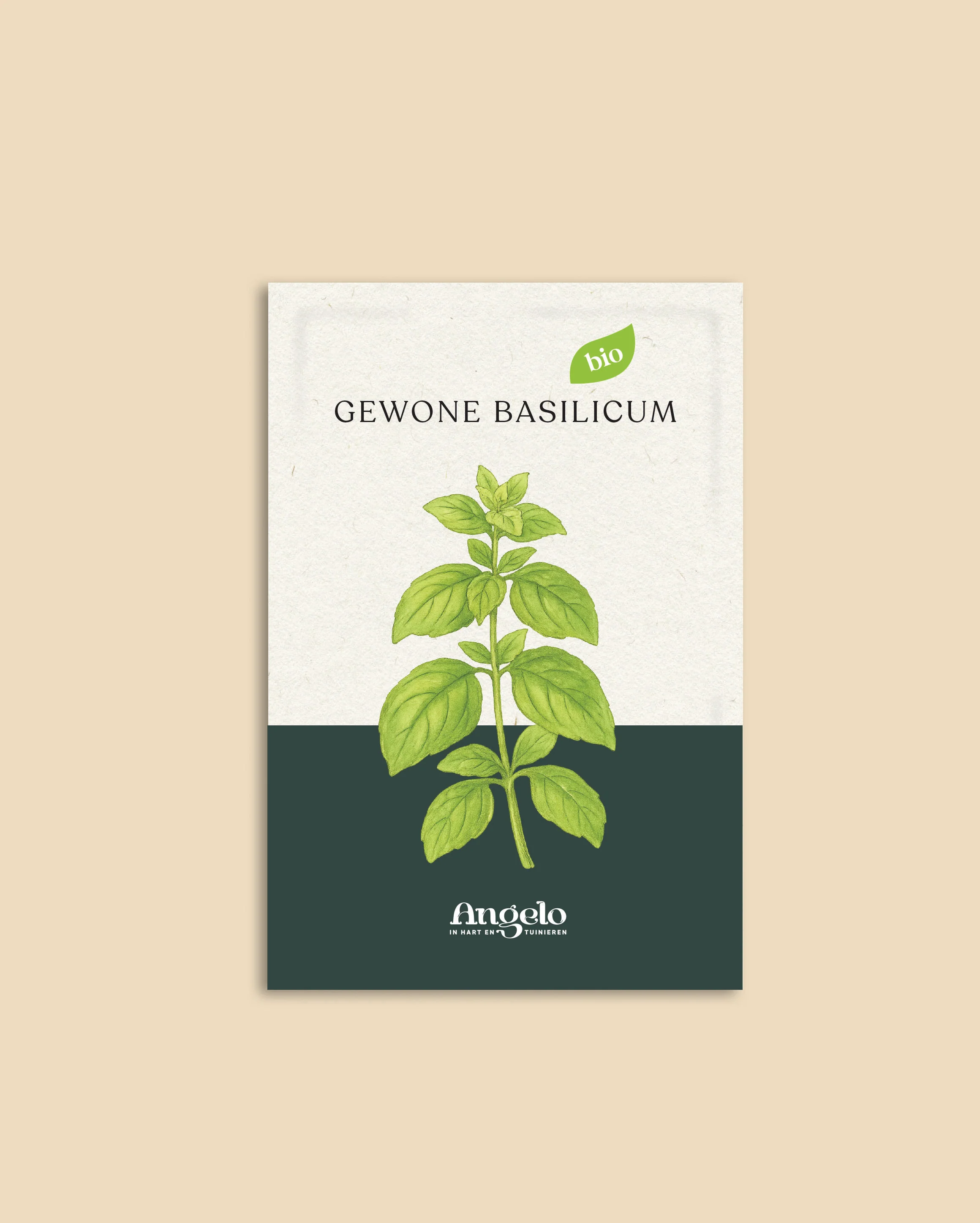Gewone basilicum - Image 2