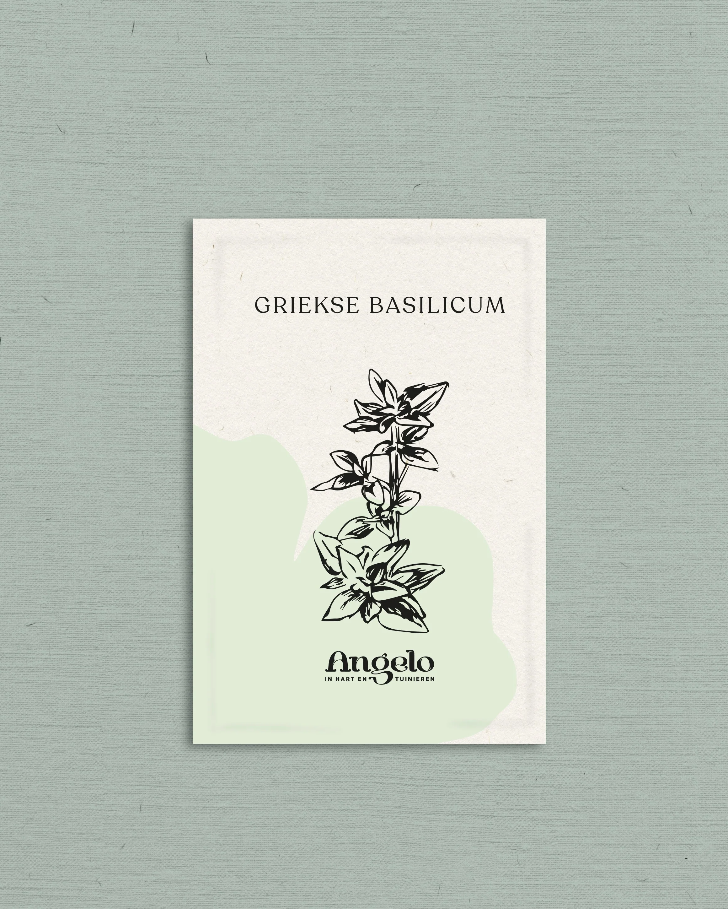 Griekse basilicum - Image 2