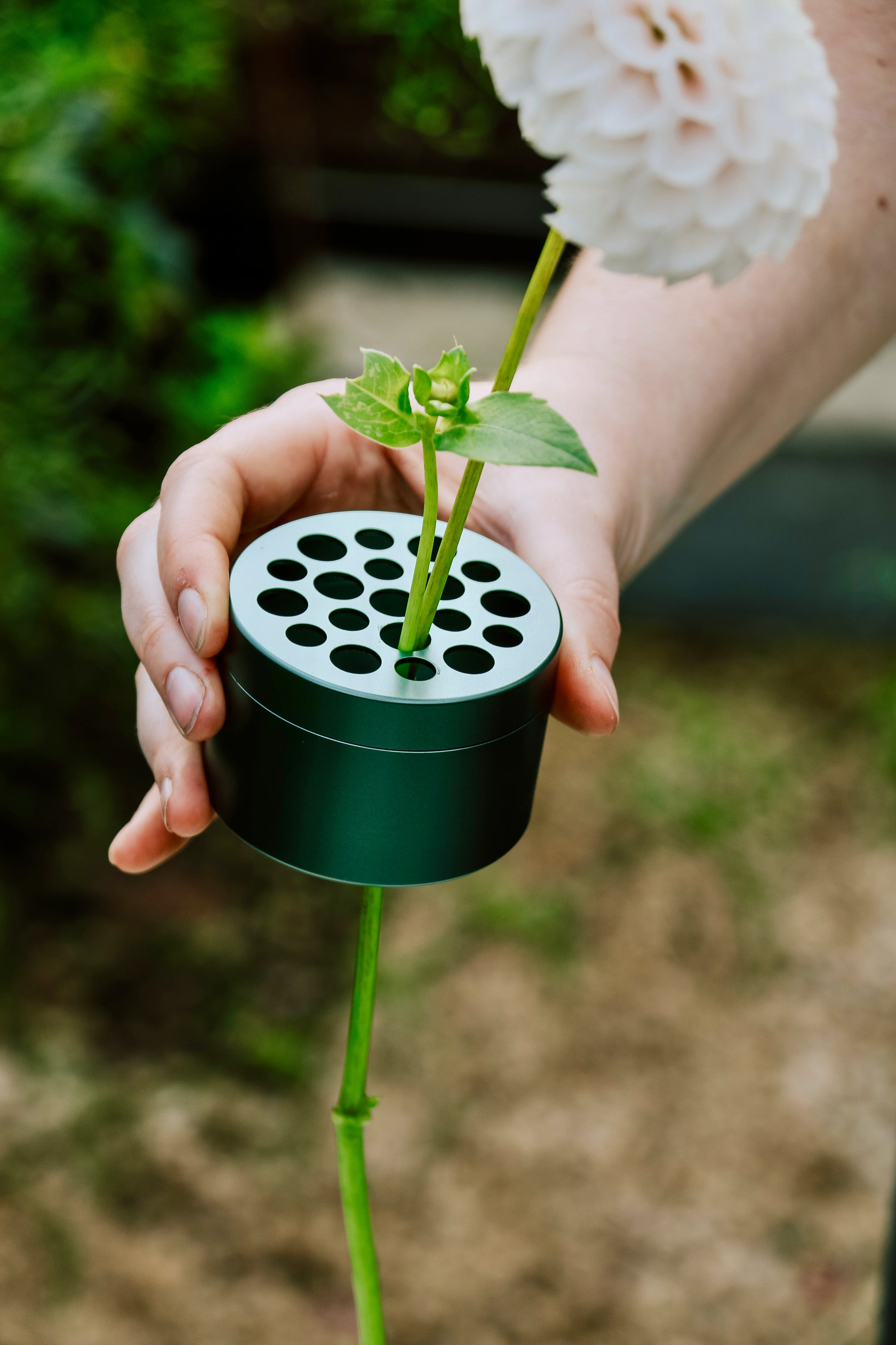 Hanataba - Green Ivy - Image 9