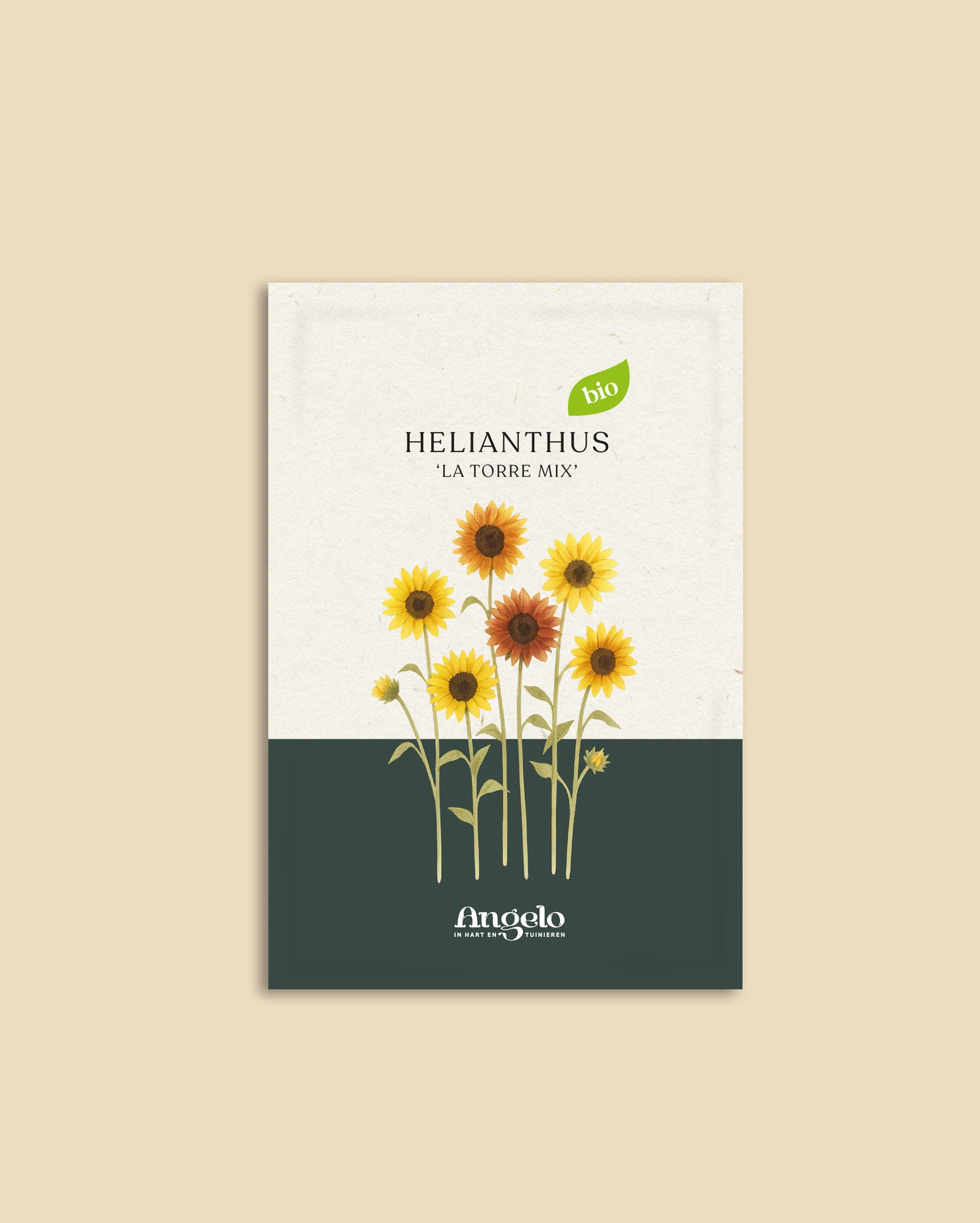 Helianthus annuus 'La Torre Mix' - Image 2