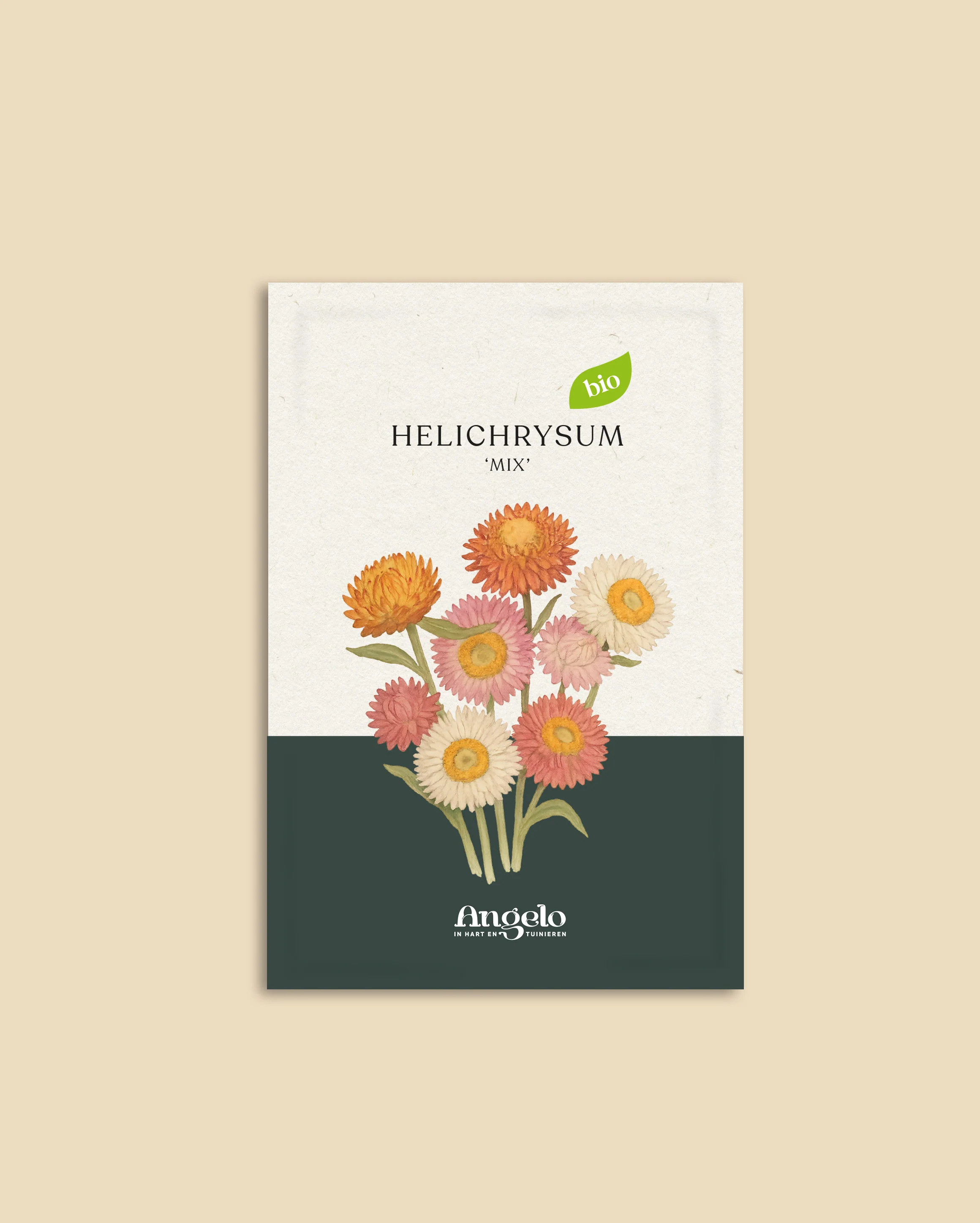 Helichrysum  bracteatum 'Mix' - Image 2