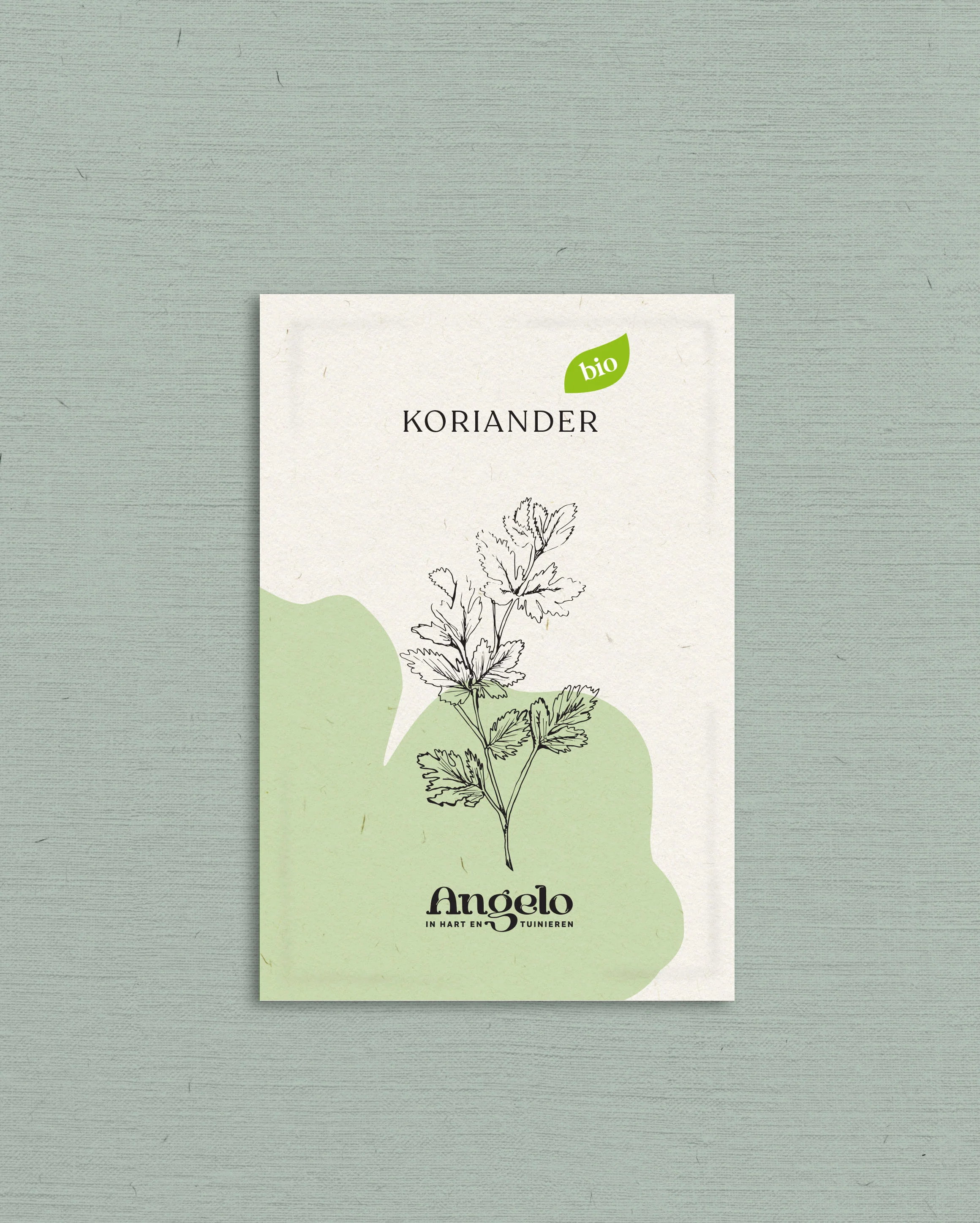 Koriander - Image 2