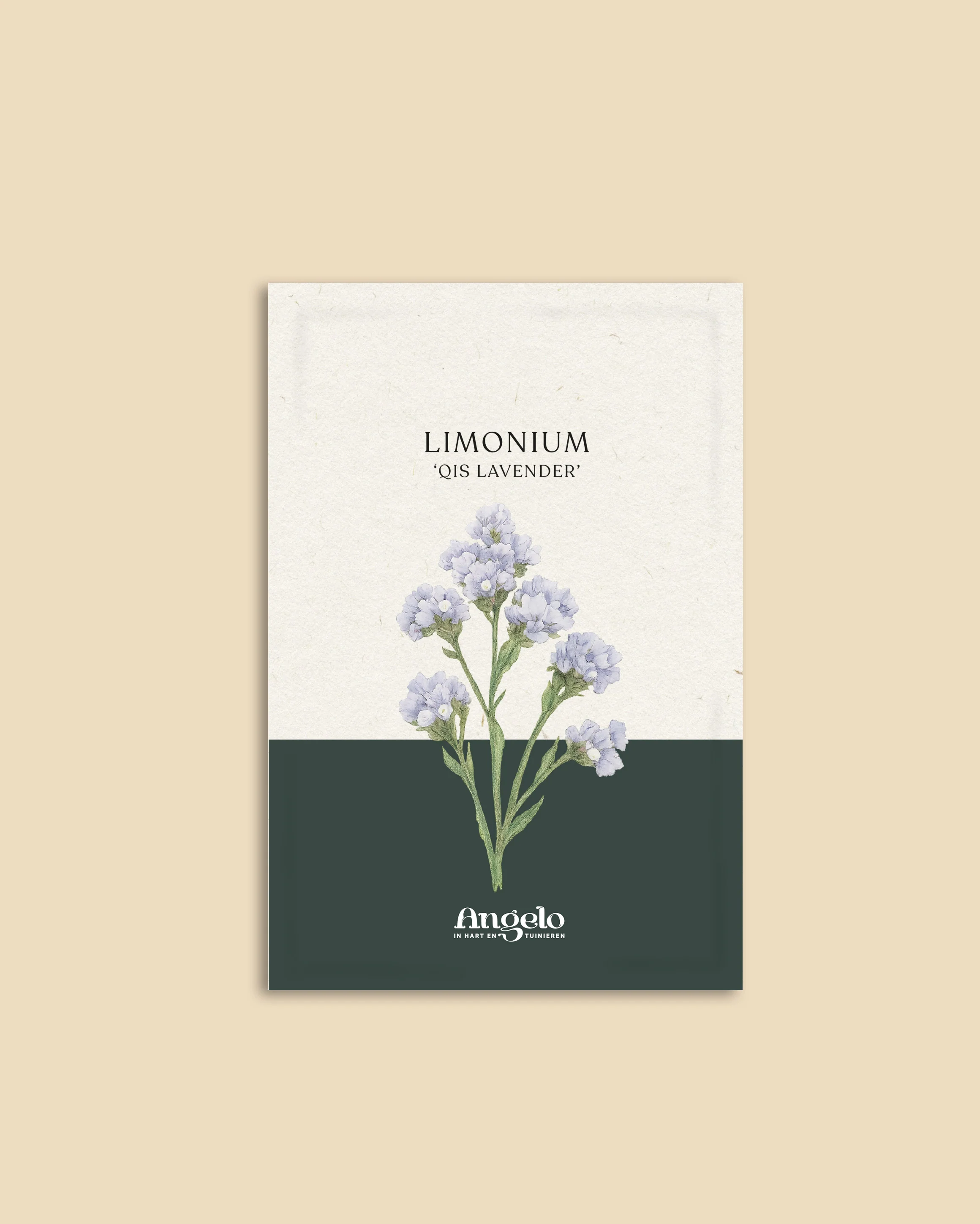 Miniatuur 2