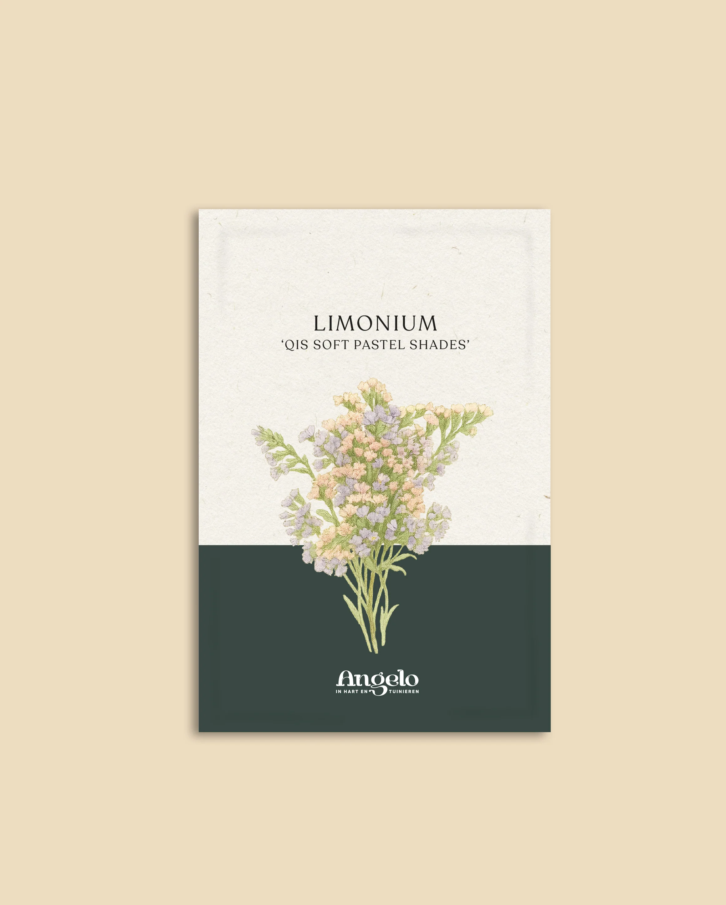 Limonium sinuatum 'Qis Soft Pastel Shades' - Image 2