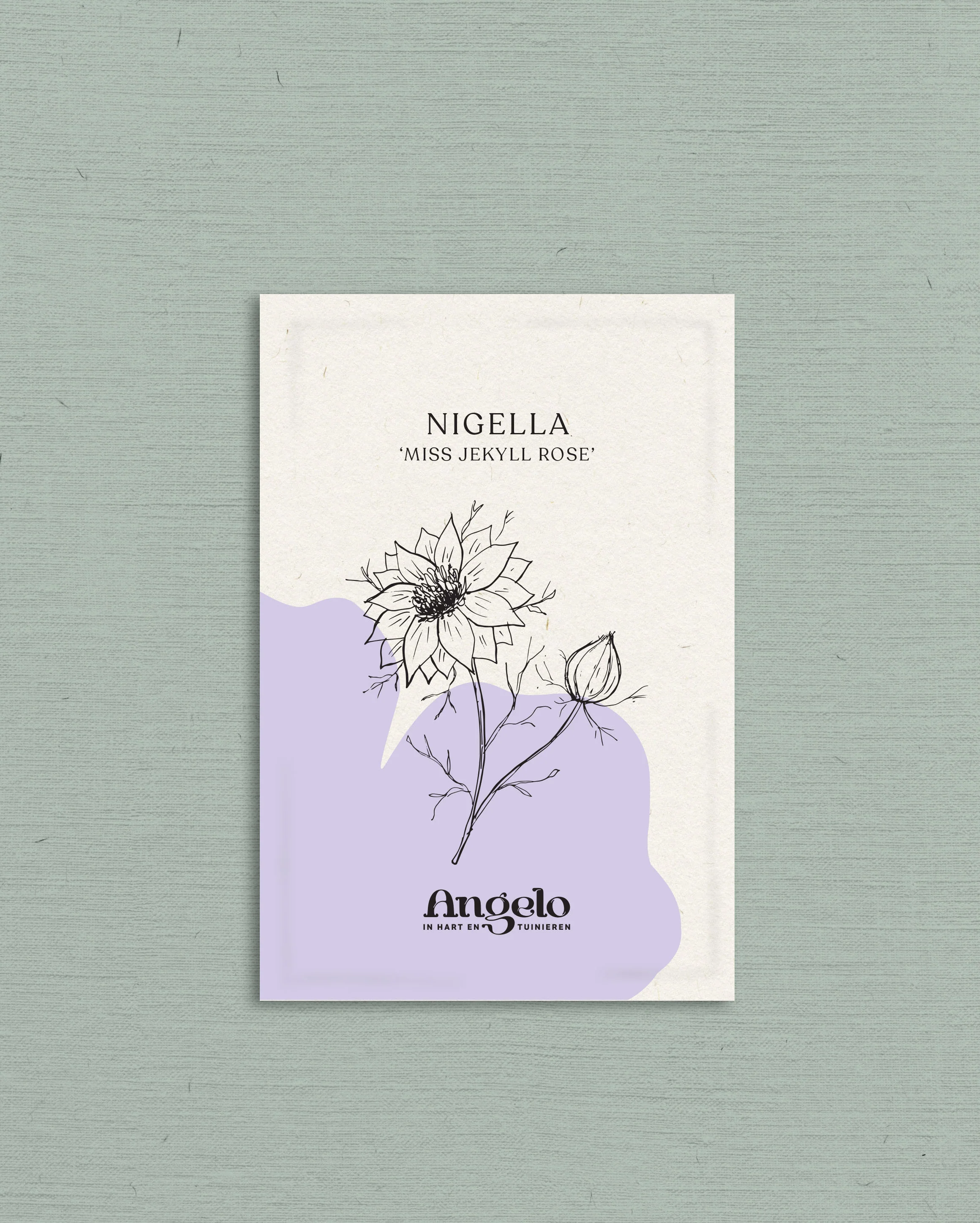 Nigella damascena 'miss jekyll rose' - Image 2