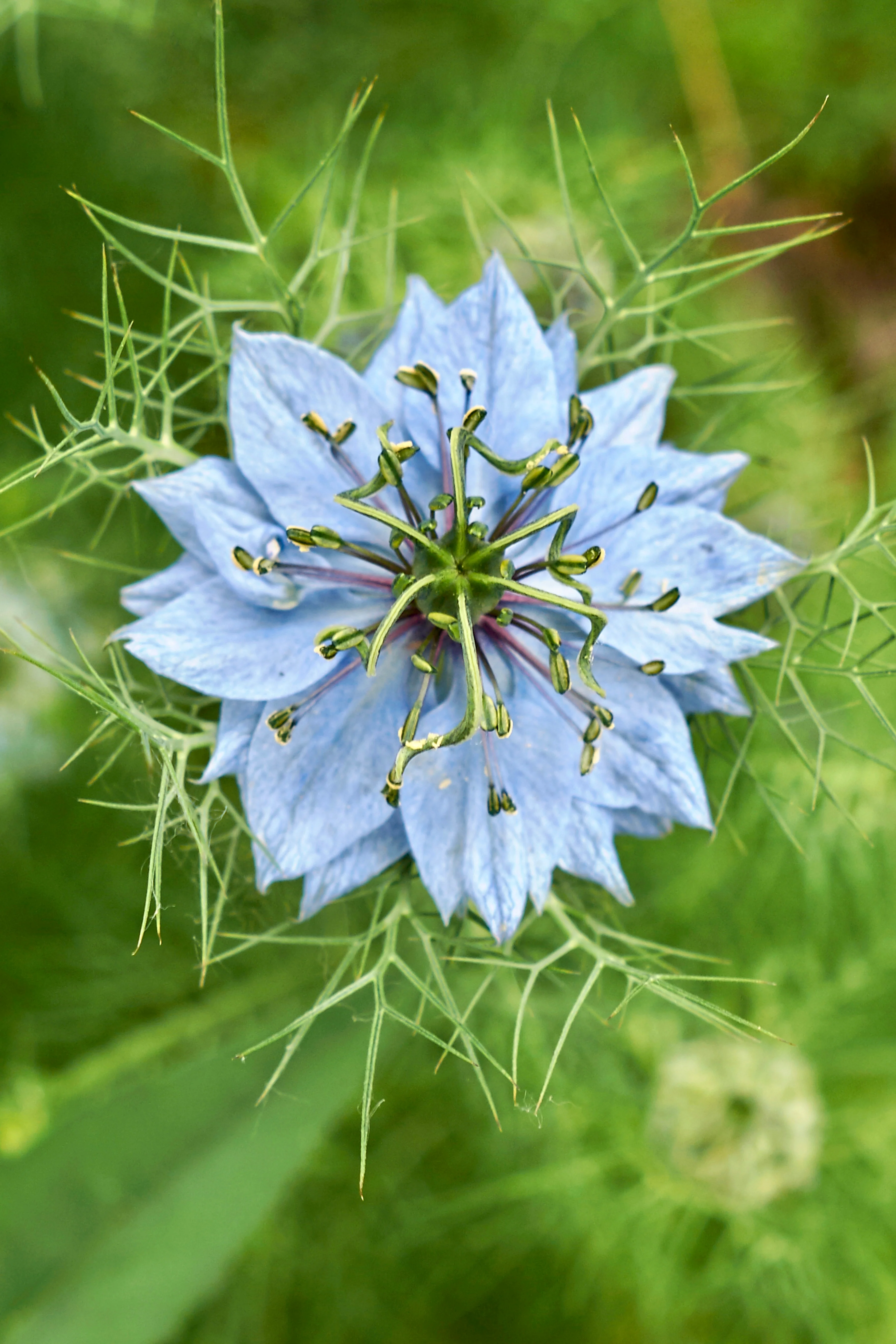 Miniatuur 1