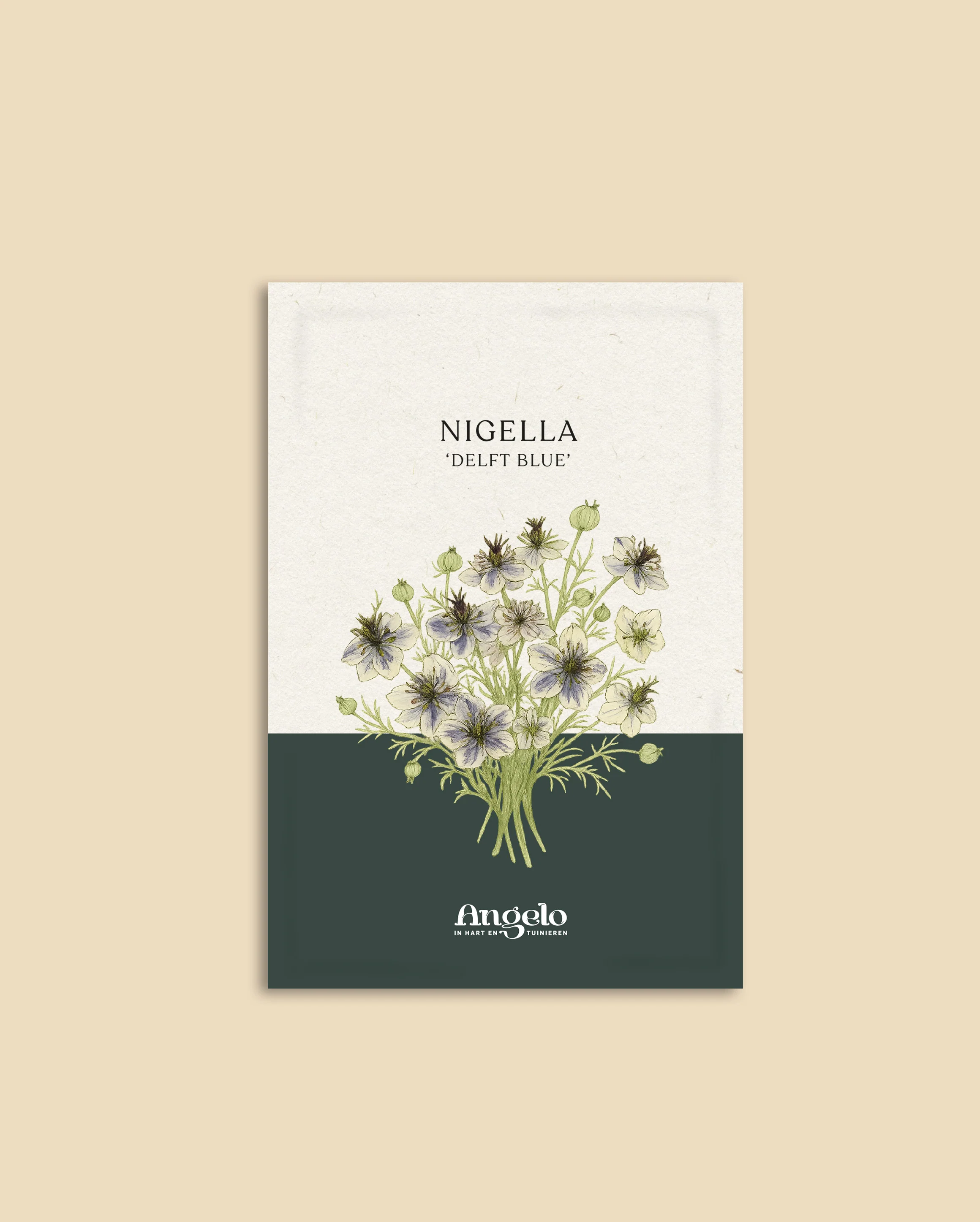Nigella damascena 'Delft Blue' - Image 2
