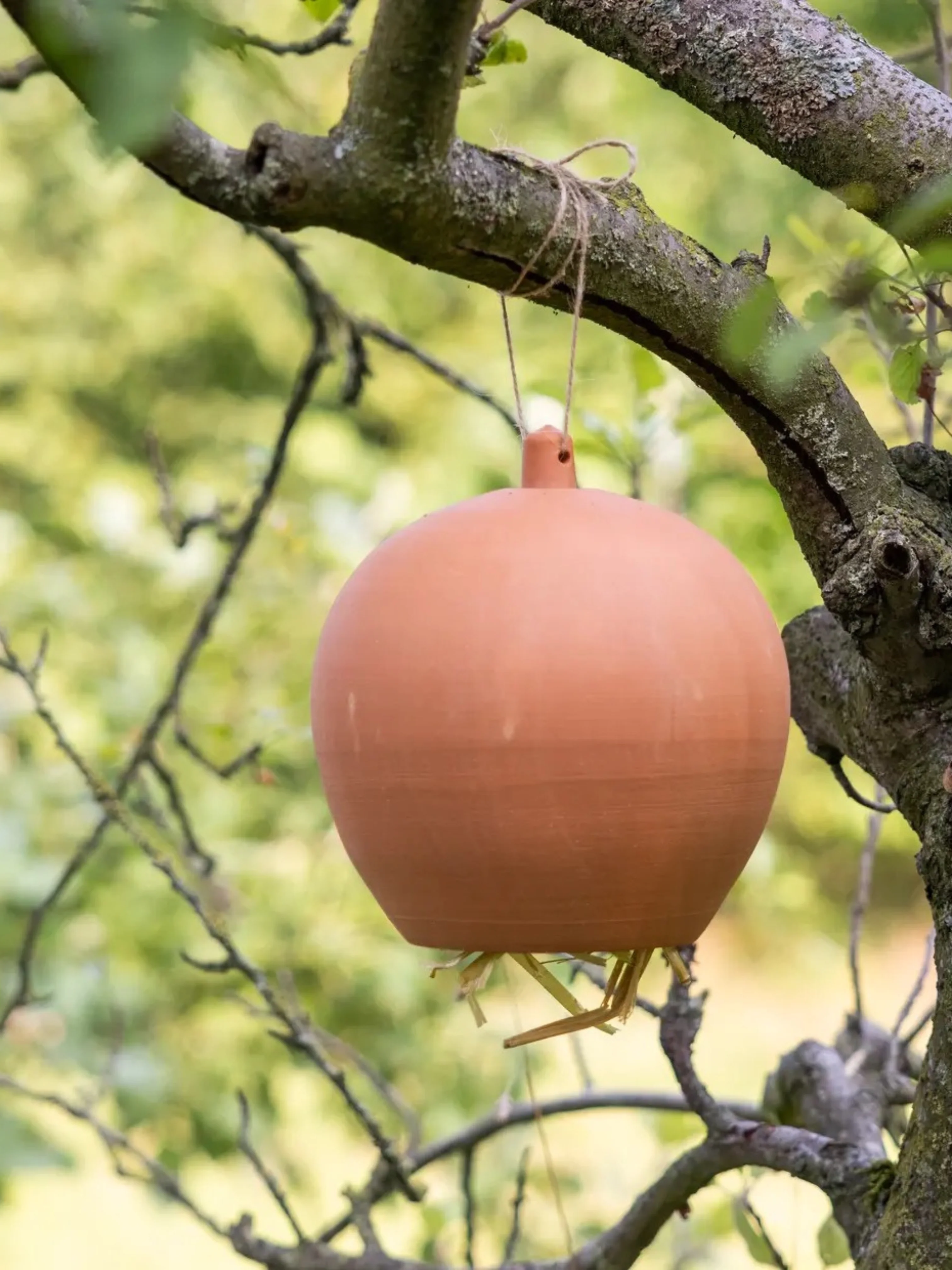 Oorwormpot - Image 3