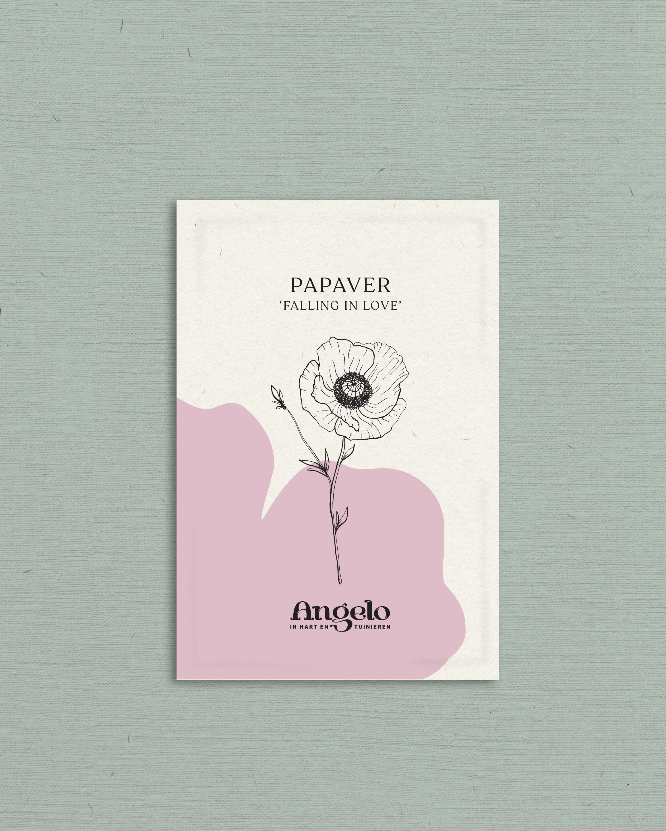 Papaver rhoeas 'falling in love' - Image 2