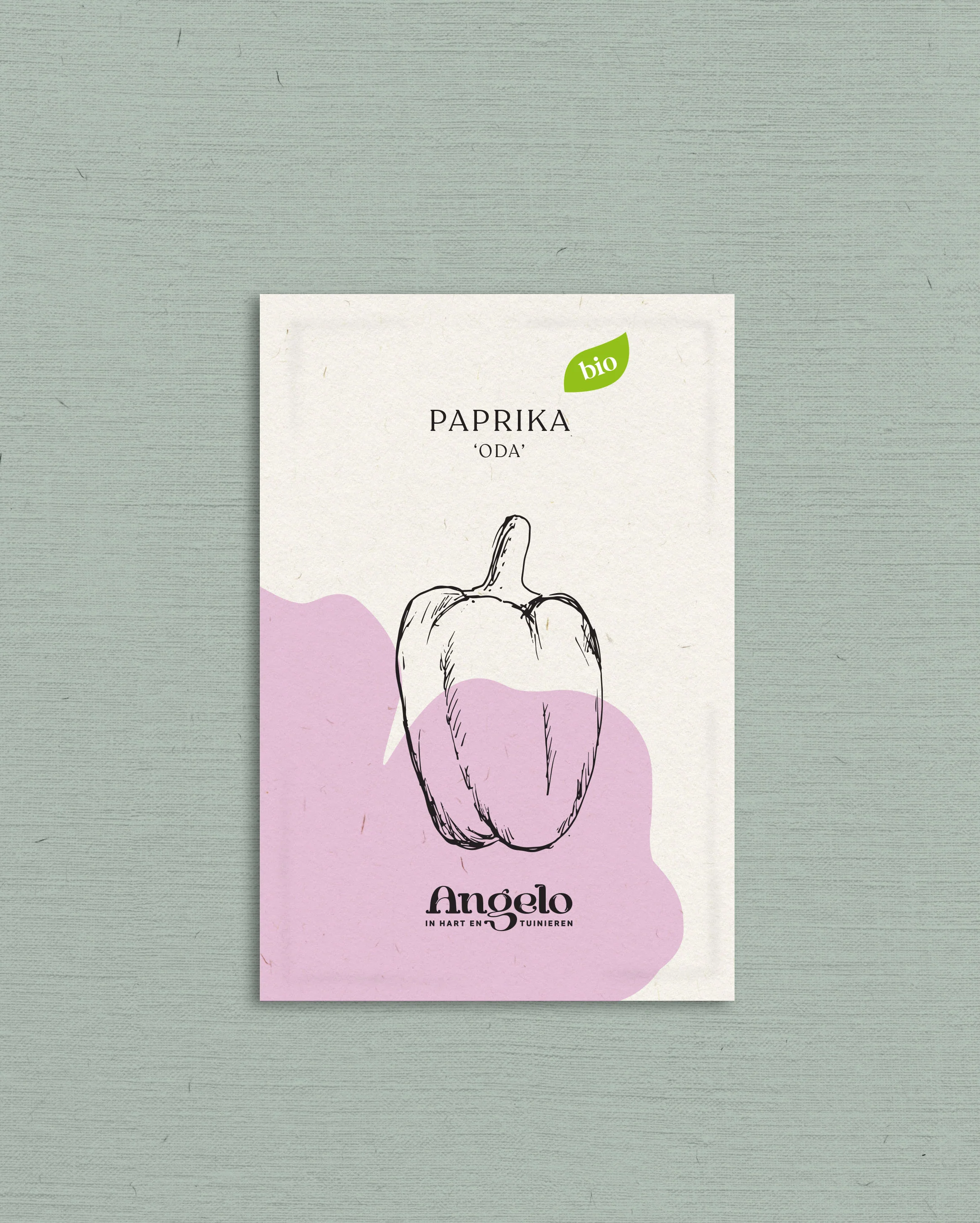 Paprika 'Oda' - Image 2