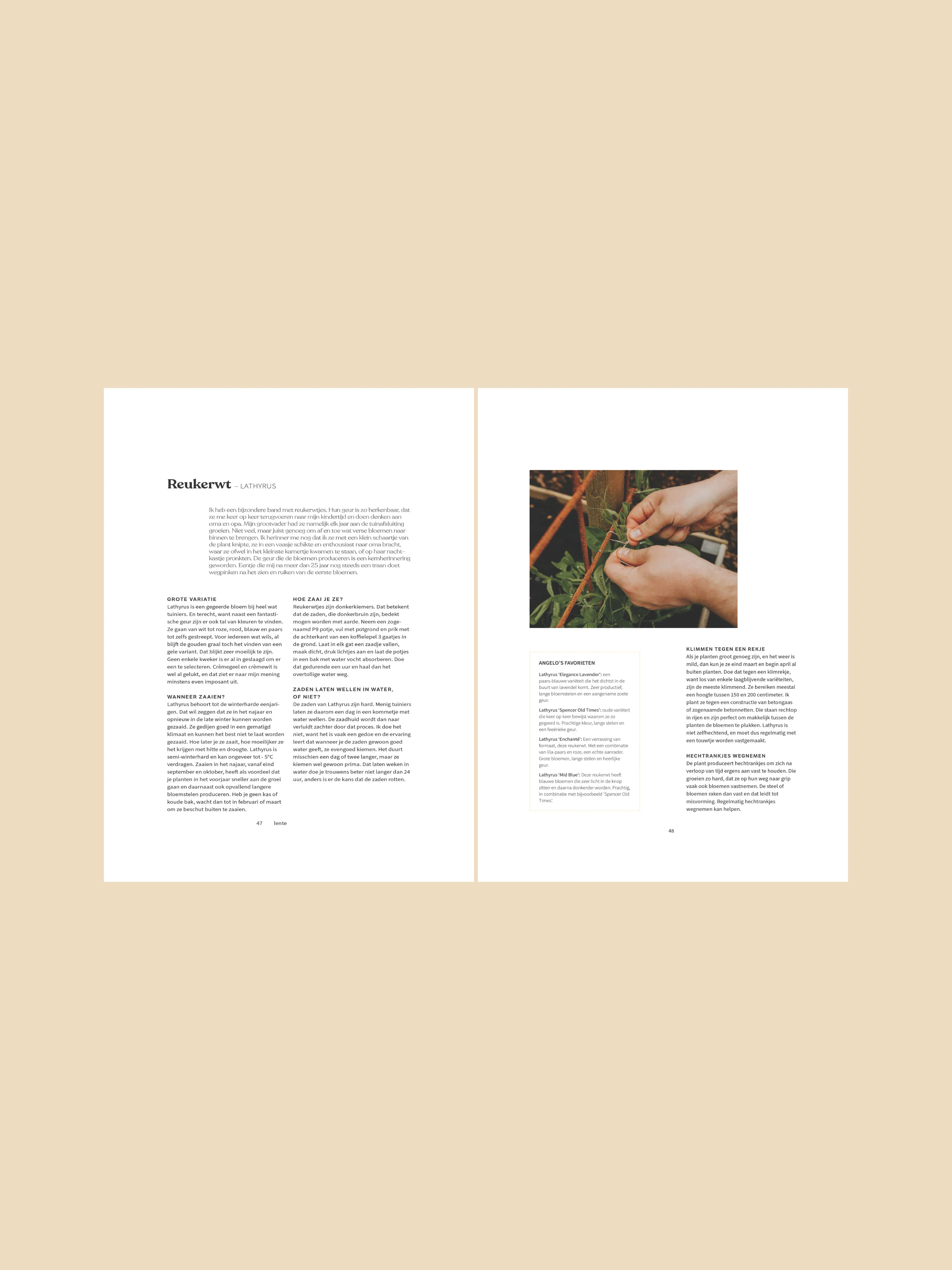 Plukplezier - Image 6