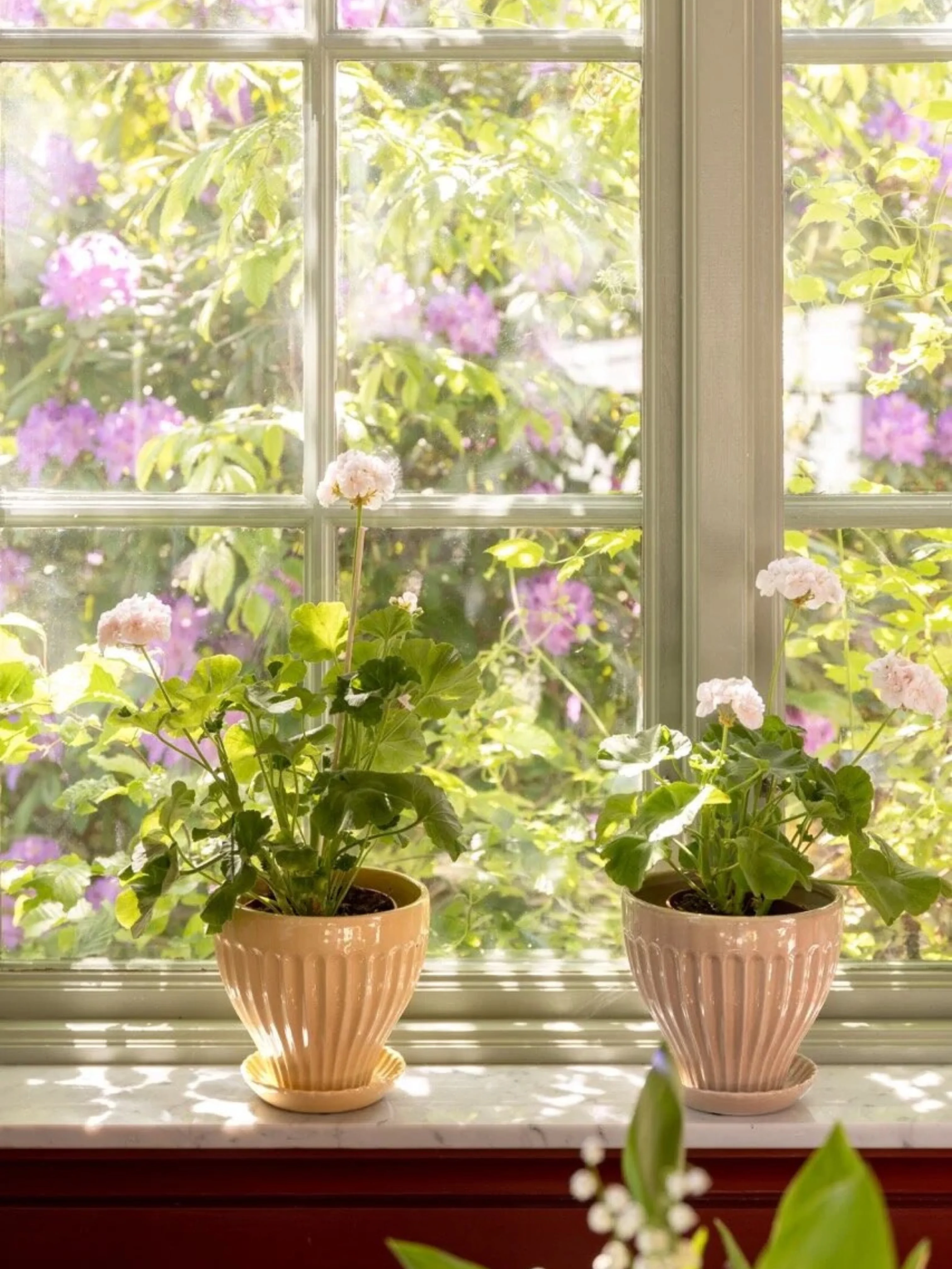 Pot 'Hannah' - Image 6