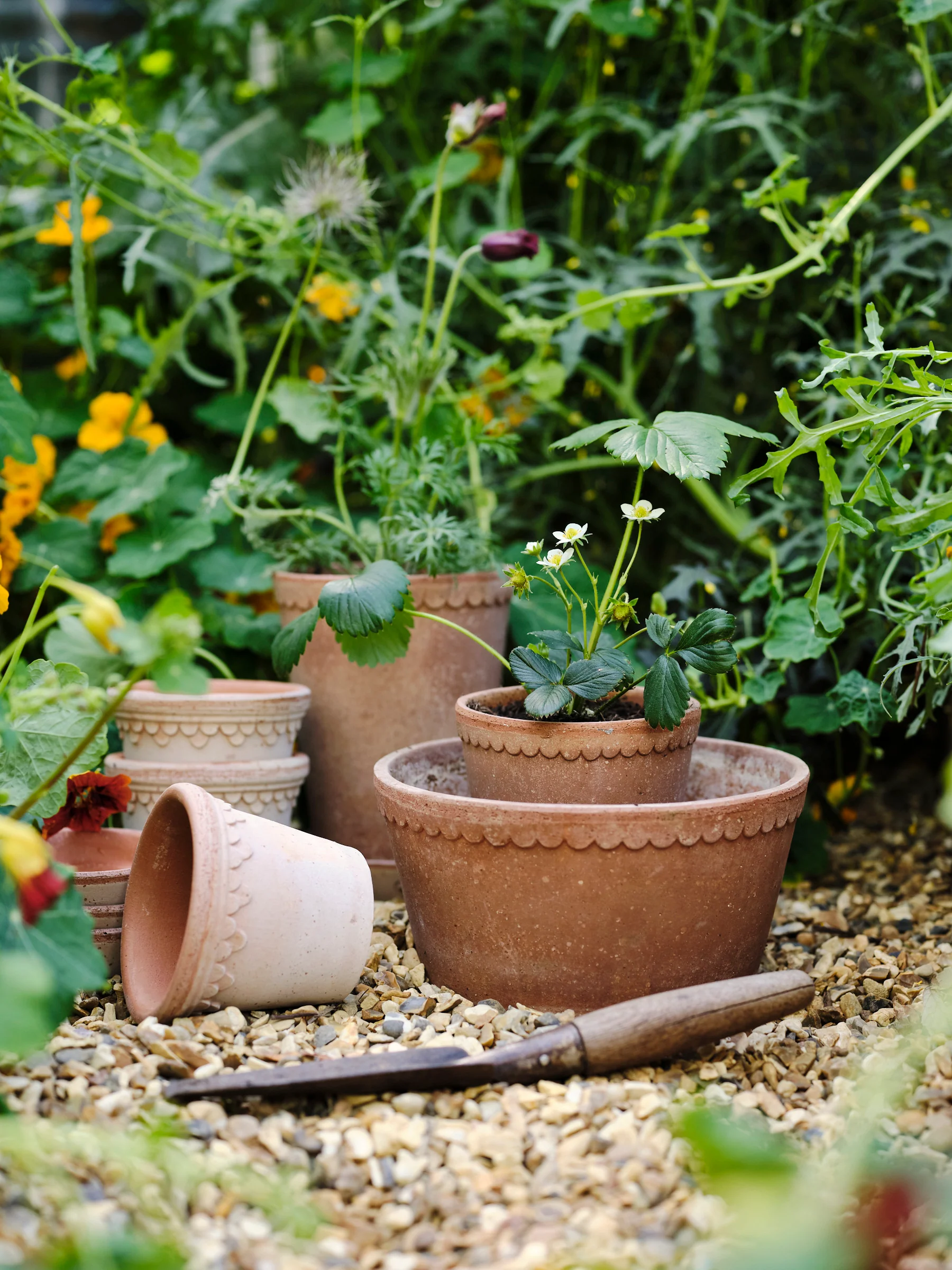 Pot Helena - laag - Image 4