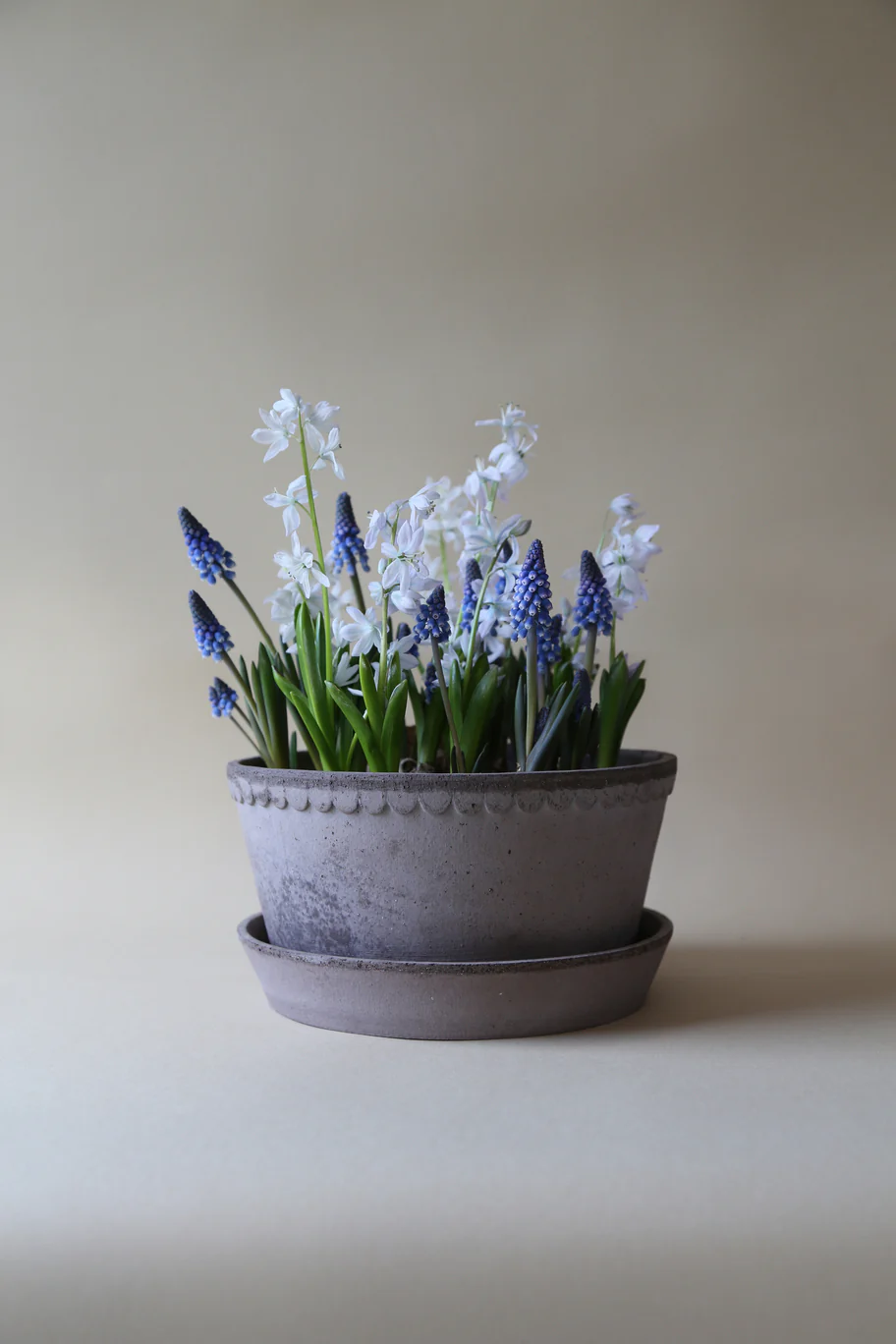 Pot Helena - laag - Image 5