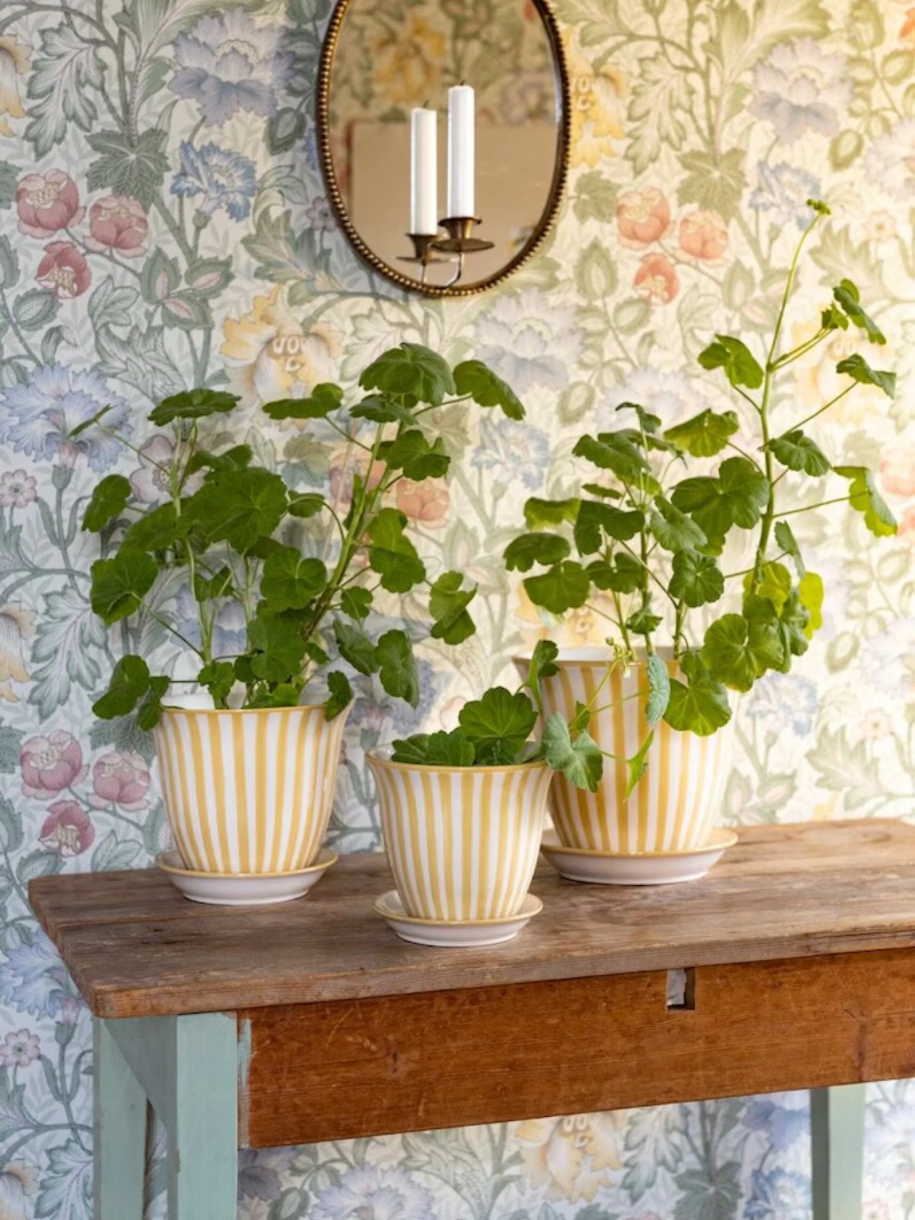 Pot 'Millie' - Image 5