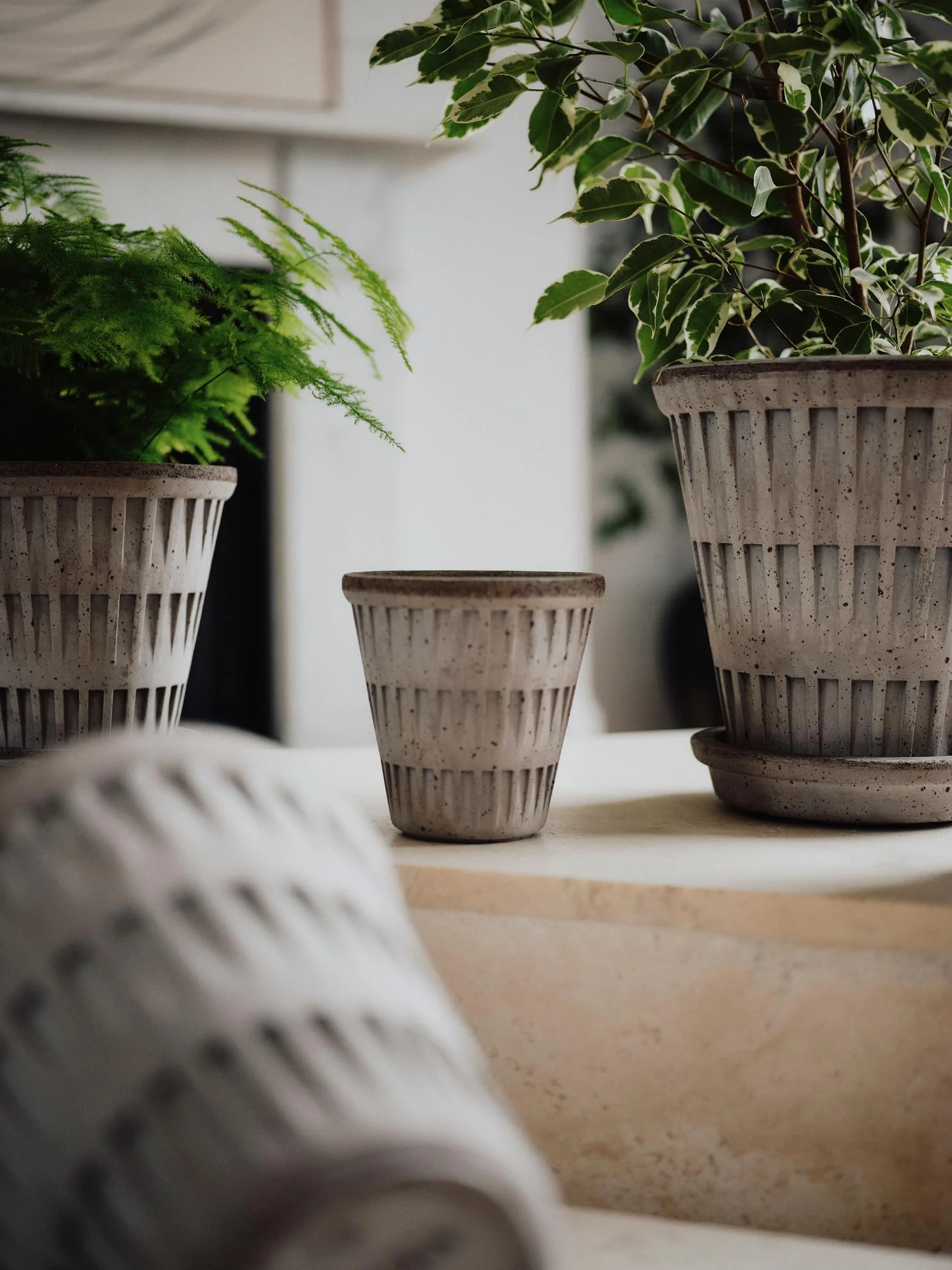 Pot Pantheon - Image 6