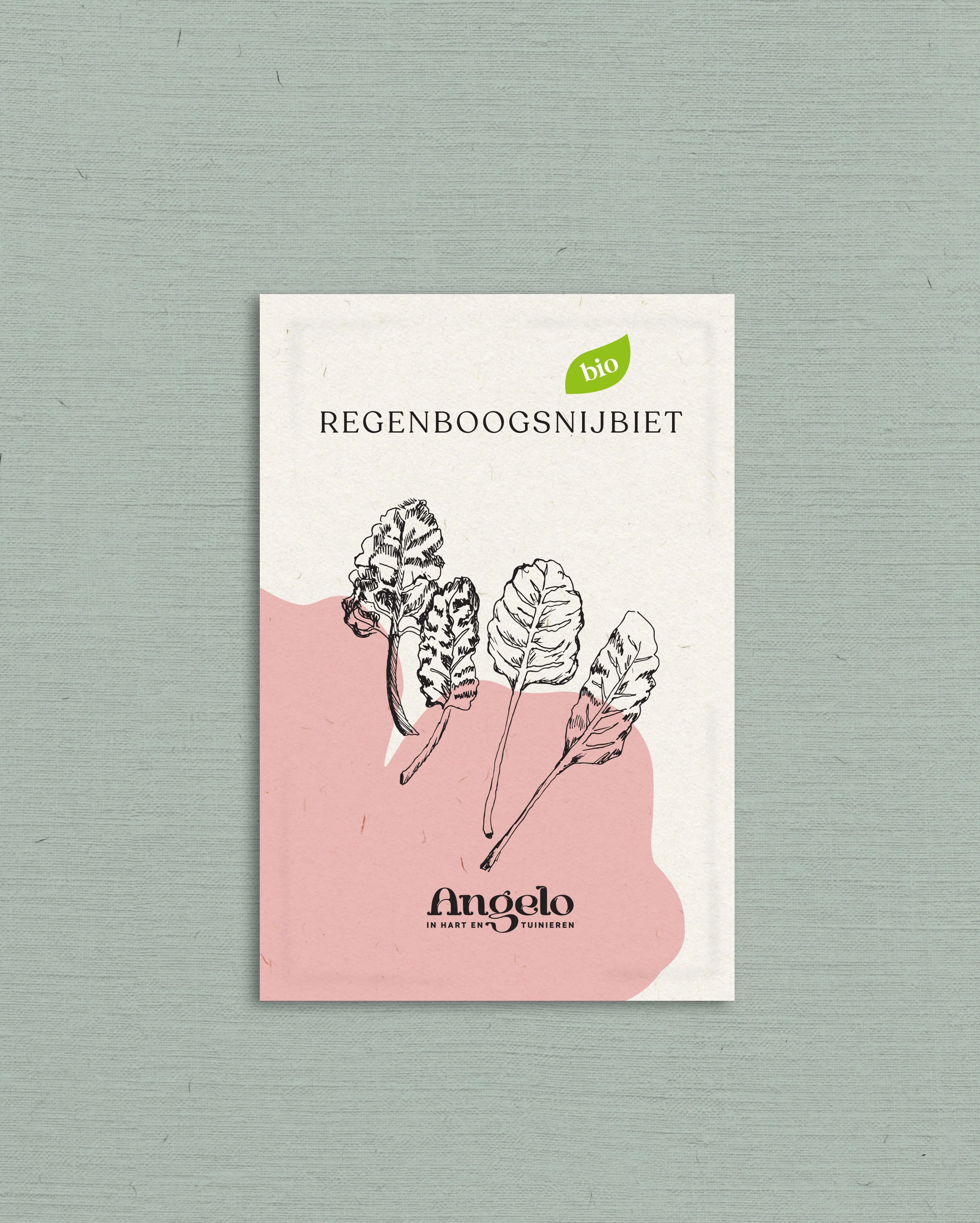 Regenboogsnijbiet - Image 2